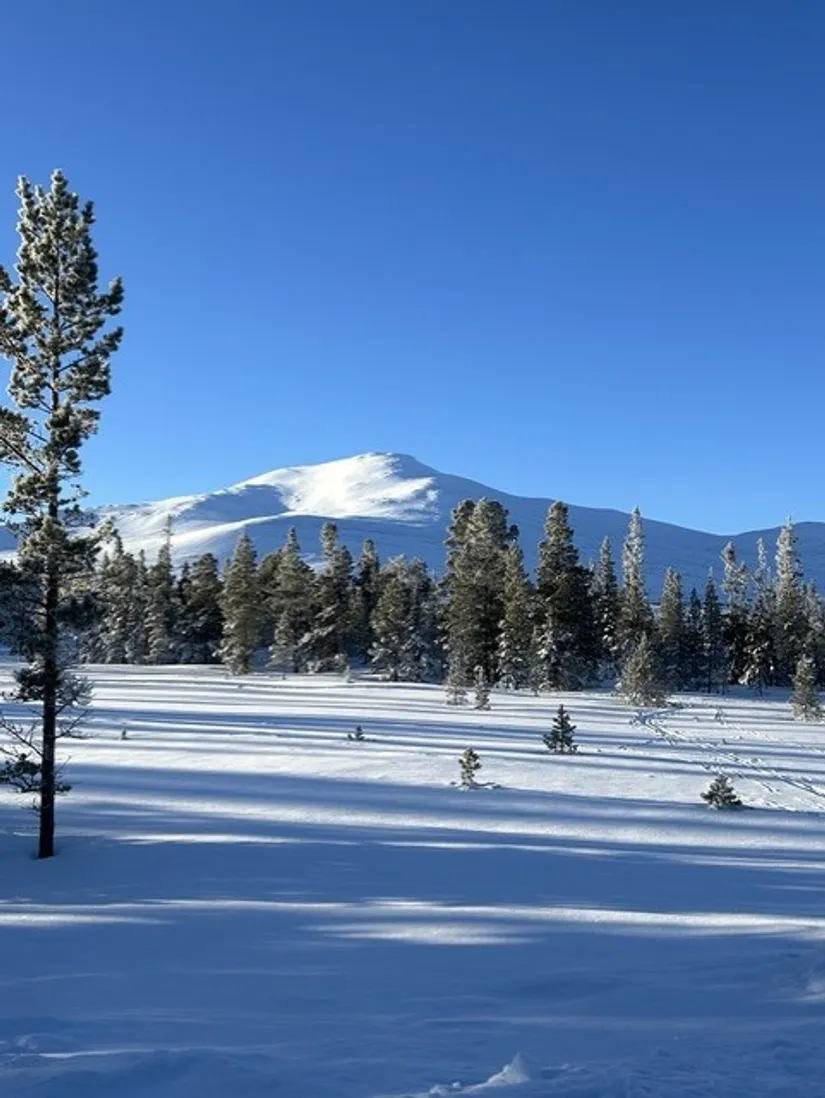 Fritidshus, Snasahögarna Getryggen 8, Snasahögarnas Fritidsby, Åre