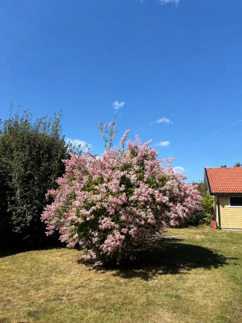 Villa, Syrénvägen 13, Surahammar