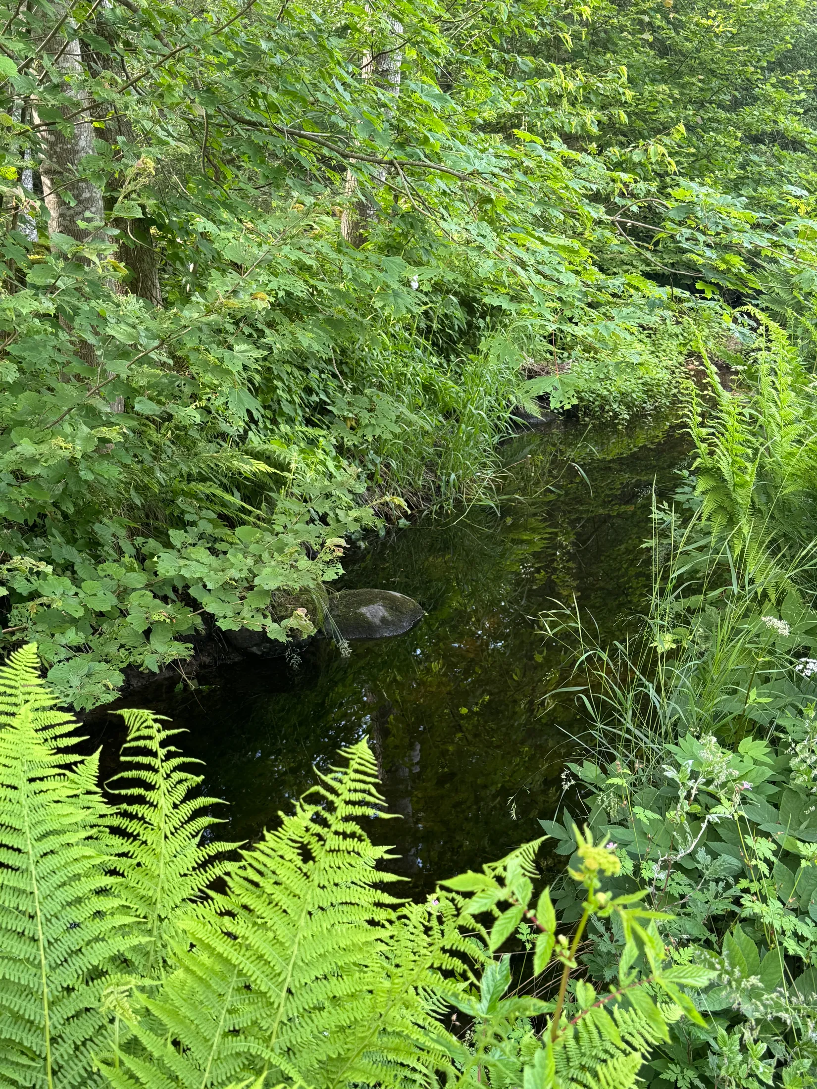 Fritidshus, Forshultsvägen 94, Årröd, Kristianstad