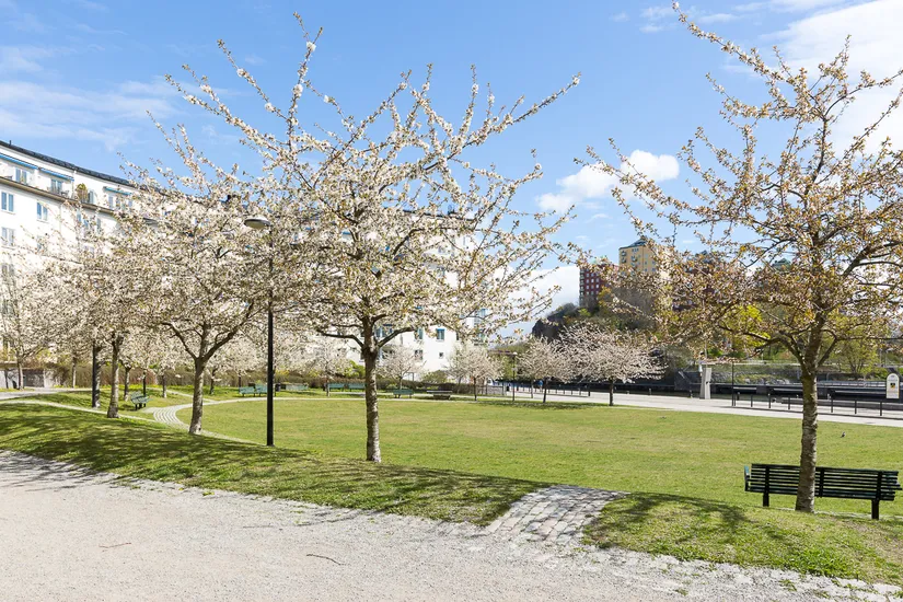 Bostadsrätt, Tegelviksgatan 4B, Södermalm - Sofia, Stockholm