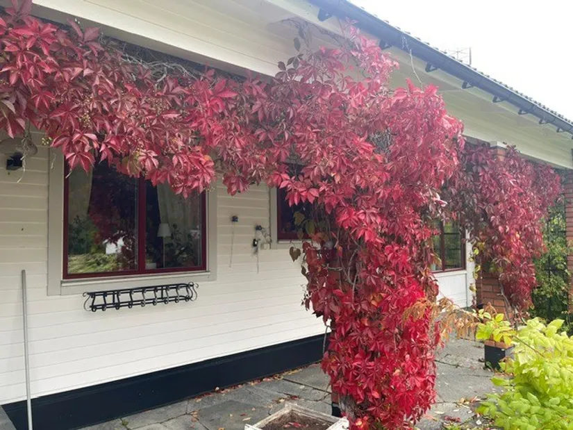 Villa, Nygatan 22, Brunflo, Östersund