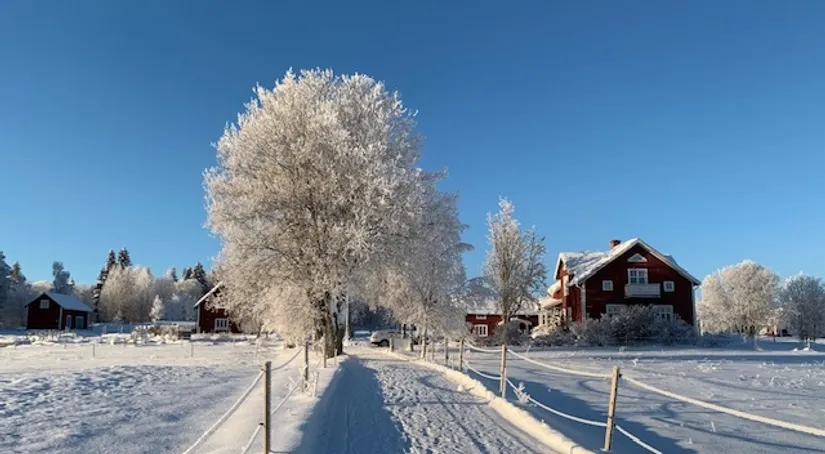 Gård/Skog, Gravbränna 220, Krokom