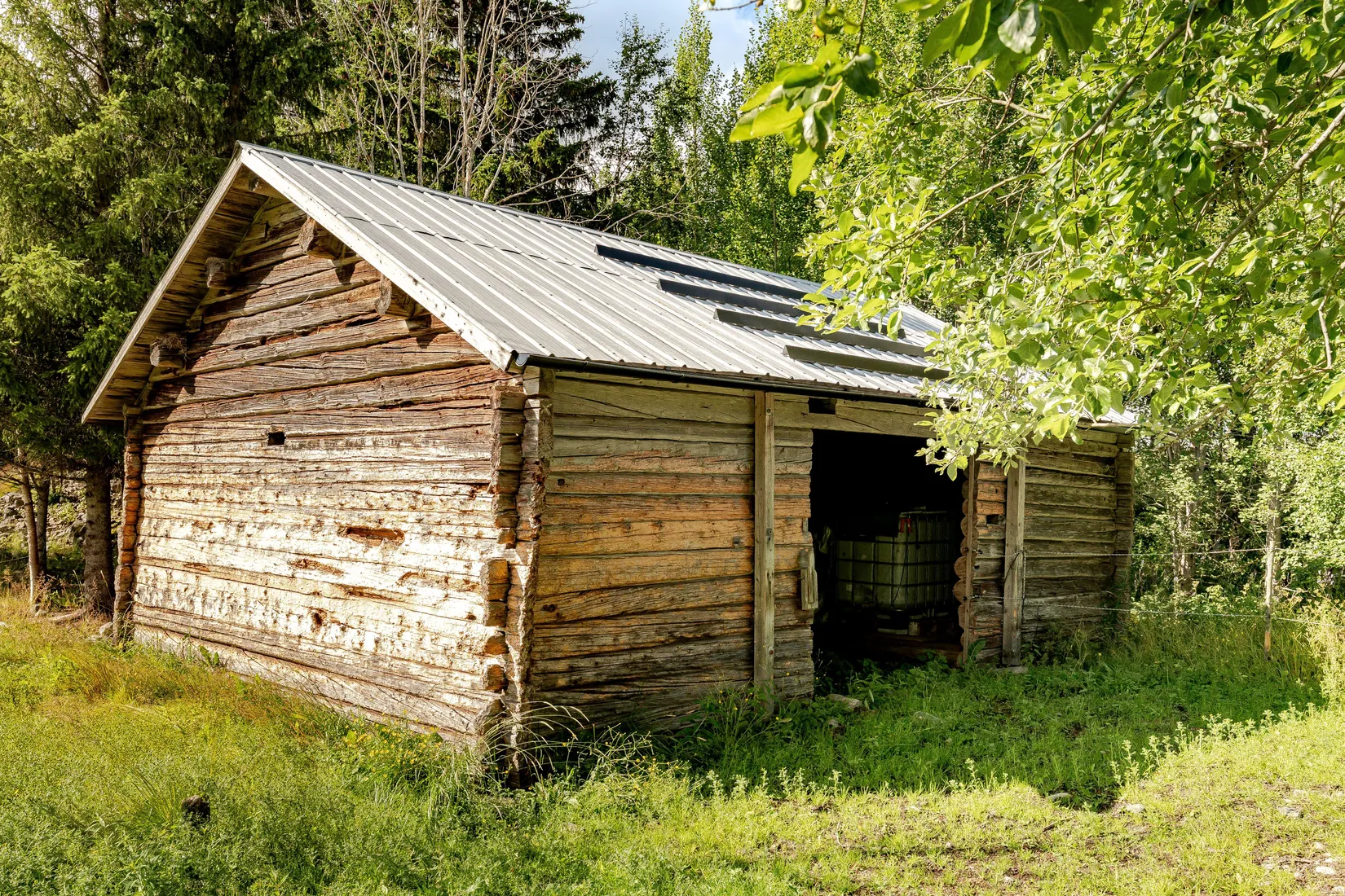 Gård/Skog, Gravbränna 220, Krokom