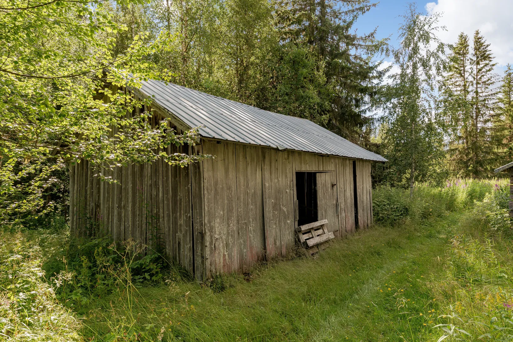 Gård/Skog, Gravbränna 220, Krokom