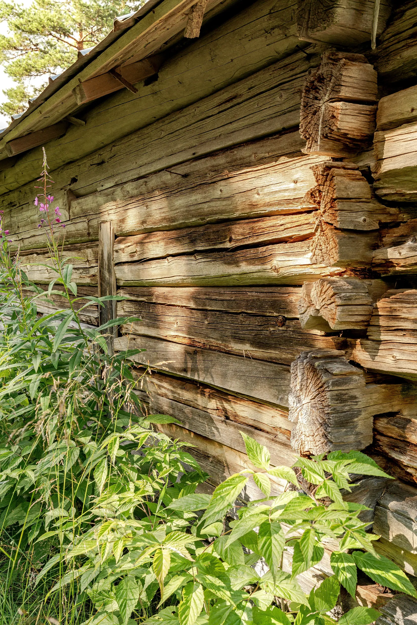 Gård/Skog, Gravbränna 220, Krokom