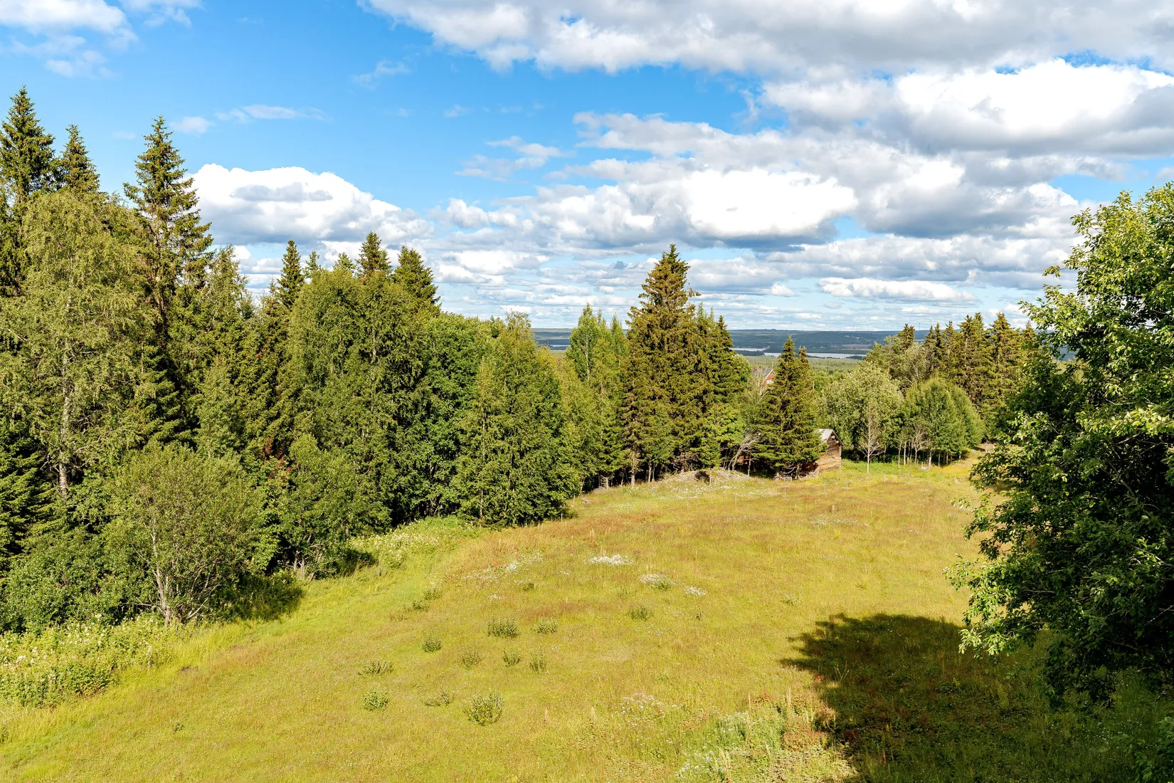 Gård/Skog, Gravbränna 220, Krokom
