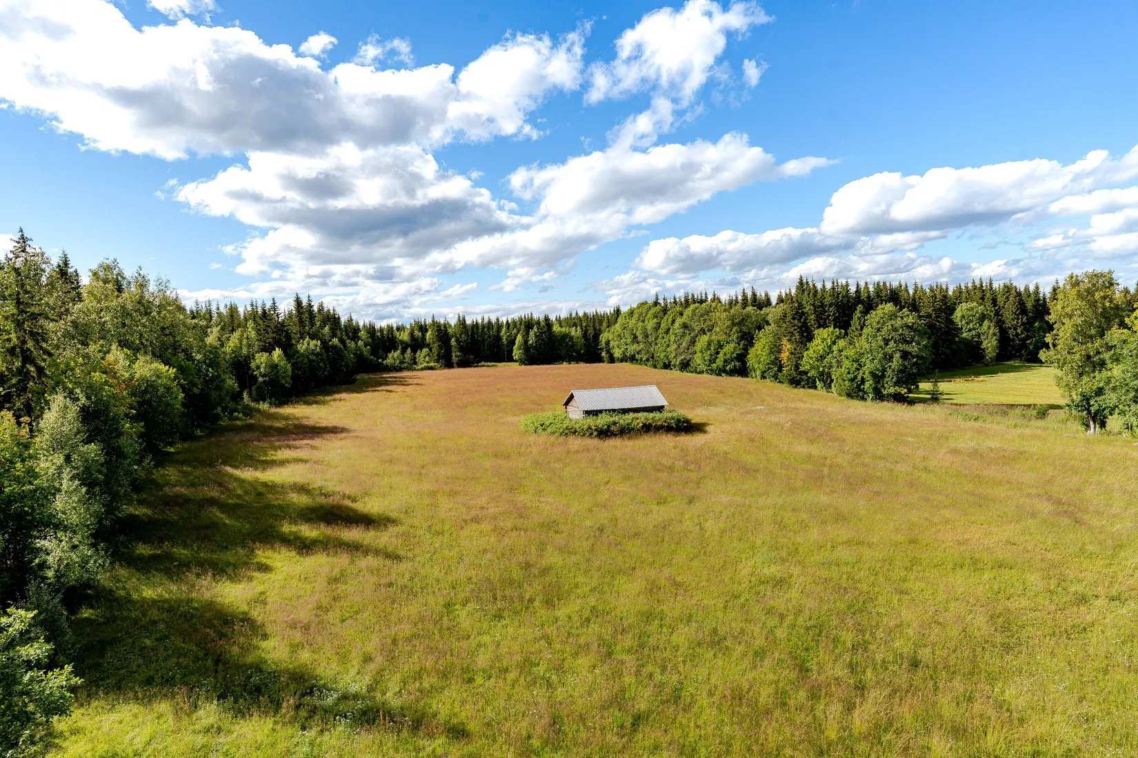 Gård/Skog, Gravbränna 220, Krokom