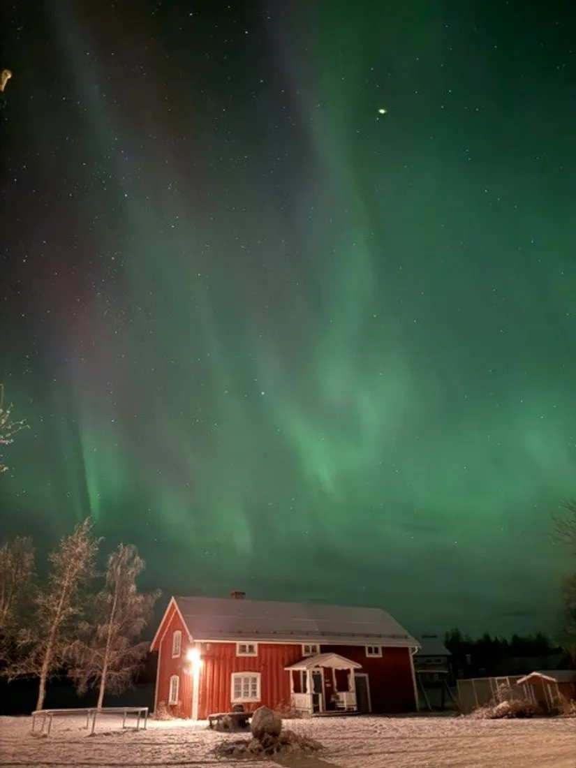 Gård/Skog, Gravbränna 220, Krokom