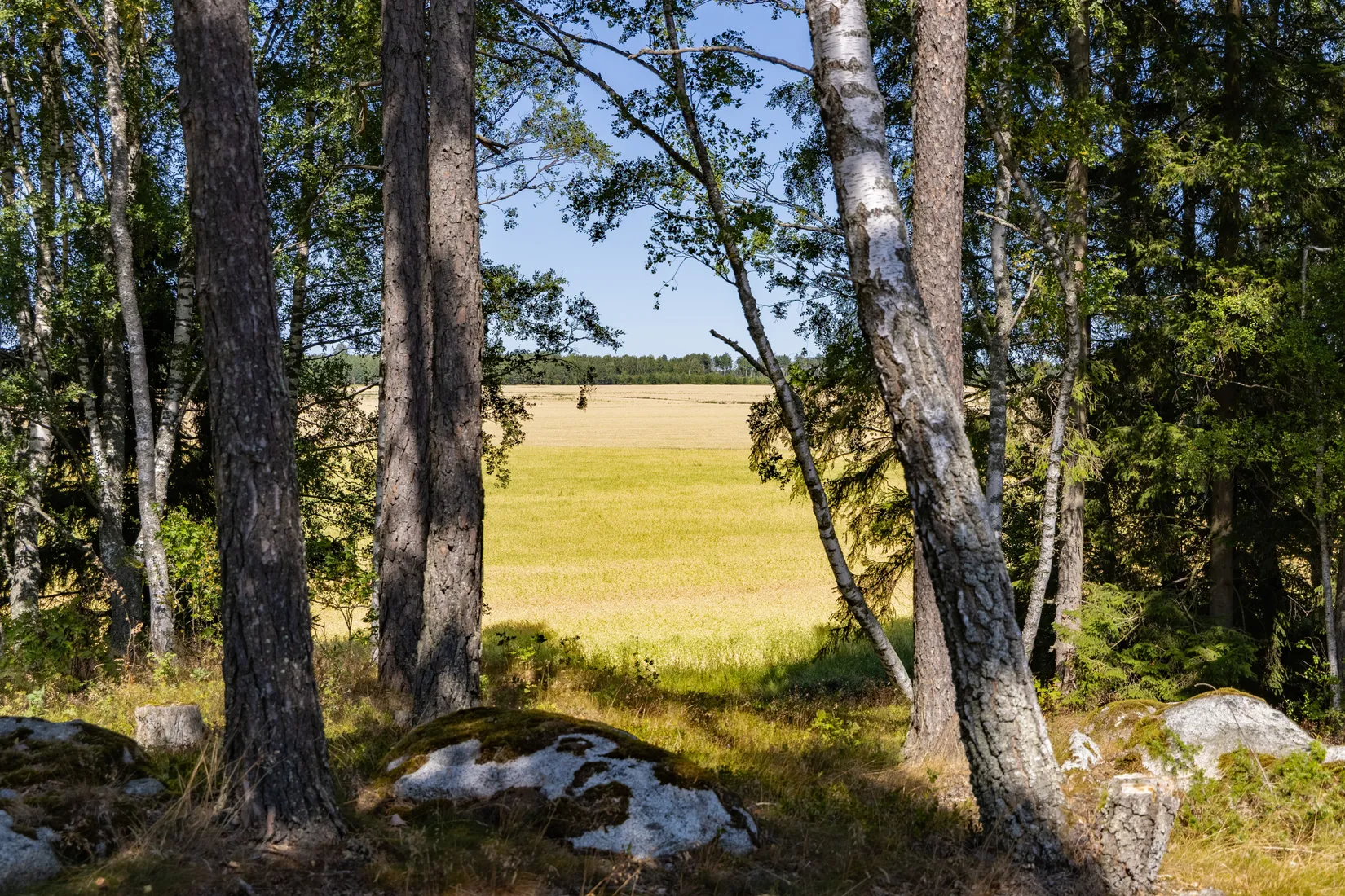 Villa, Svinnegarn Hållingsbo 17, Svinnegarn, Enköping