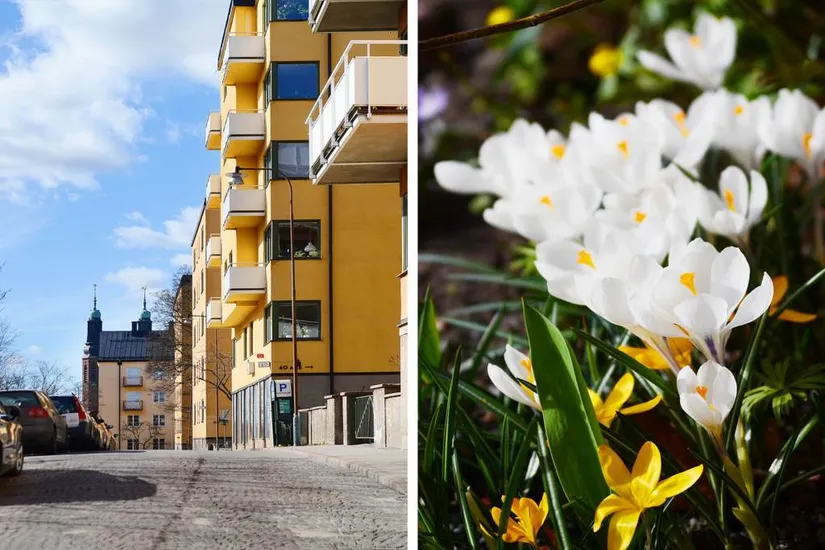 Bostadsrätt, Lundagatan 36D, Södermalm - Högalid, Stockholm