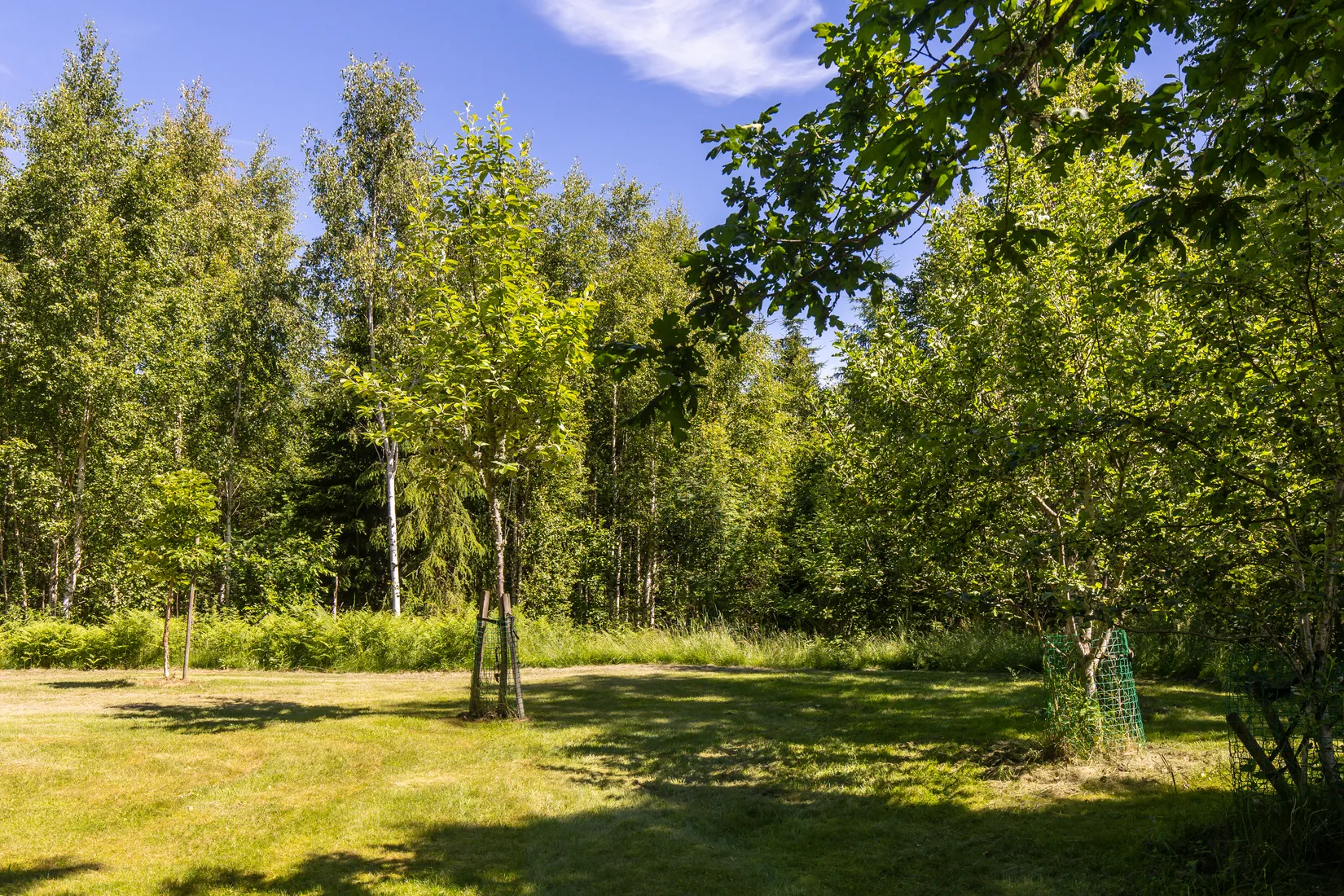 Villa, Bäckslätten Backagård, Kristinehamn