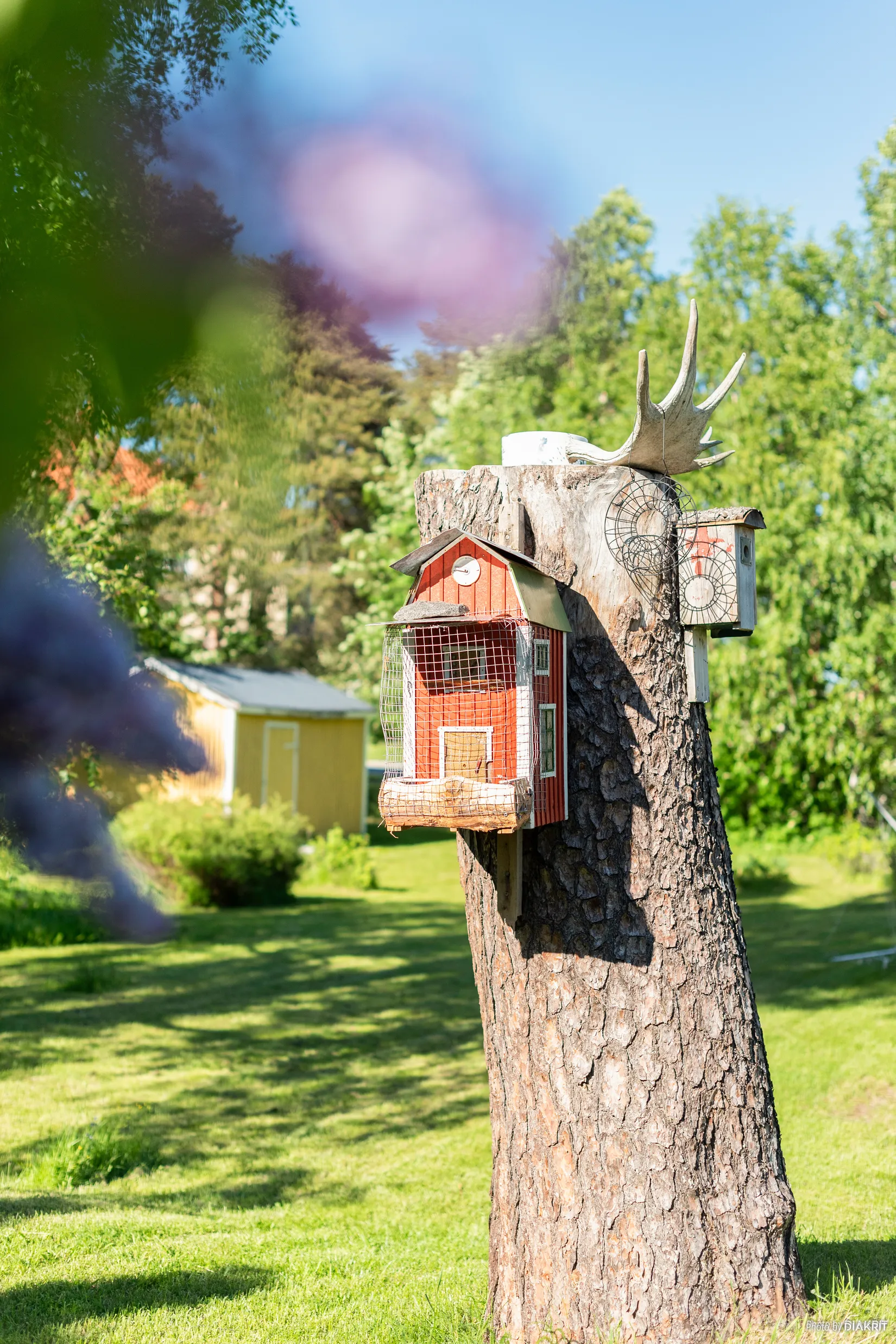Villa, Parkbältesgatan 1, Centrum, Kalix