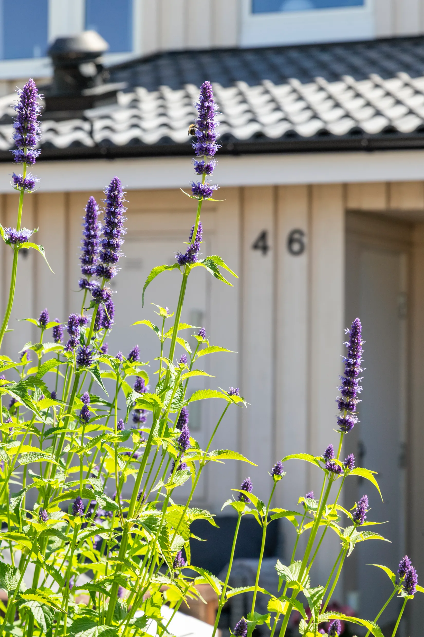 Bostadsrätt, Äckregårdsvägen 46, Stenåsa/Äckregården, Varberg