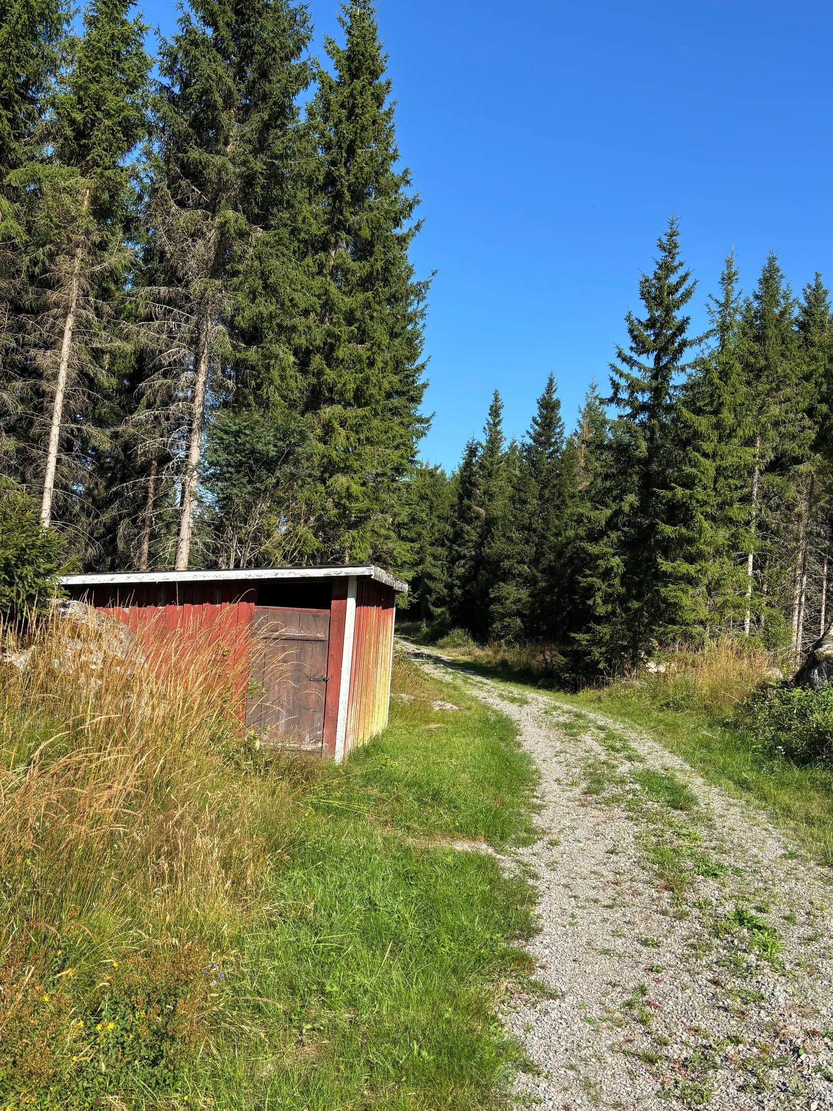 Gård/Skog, Skogsfastighet 46 ha i Hjälmseryd, Gamla Hjälmseryd, Sävsjö