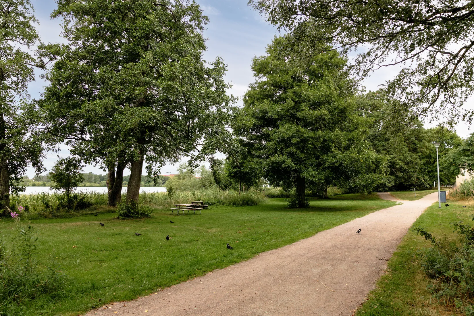 Bostadsrätt, Sunamans väg 18, Kampen, Växjö