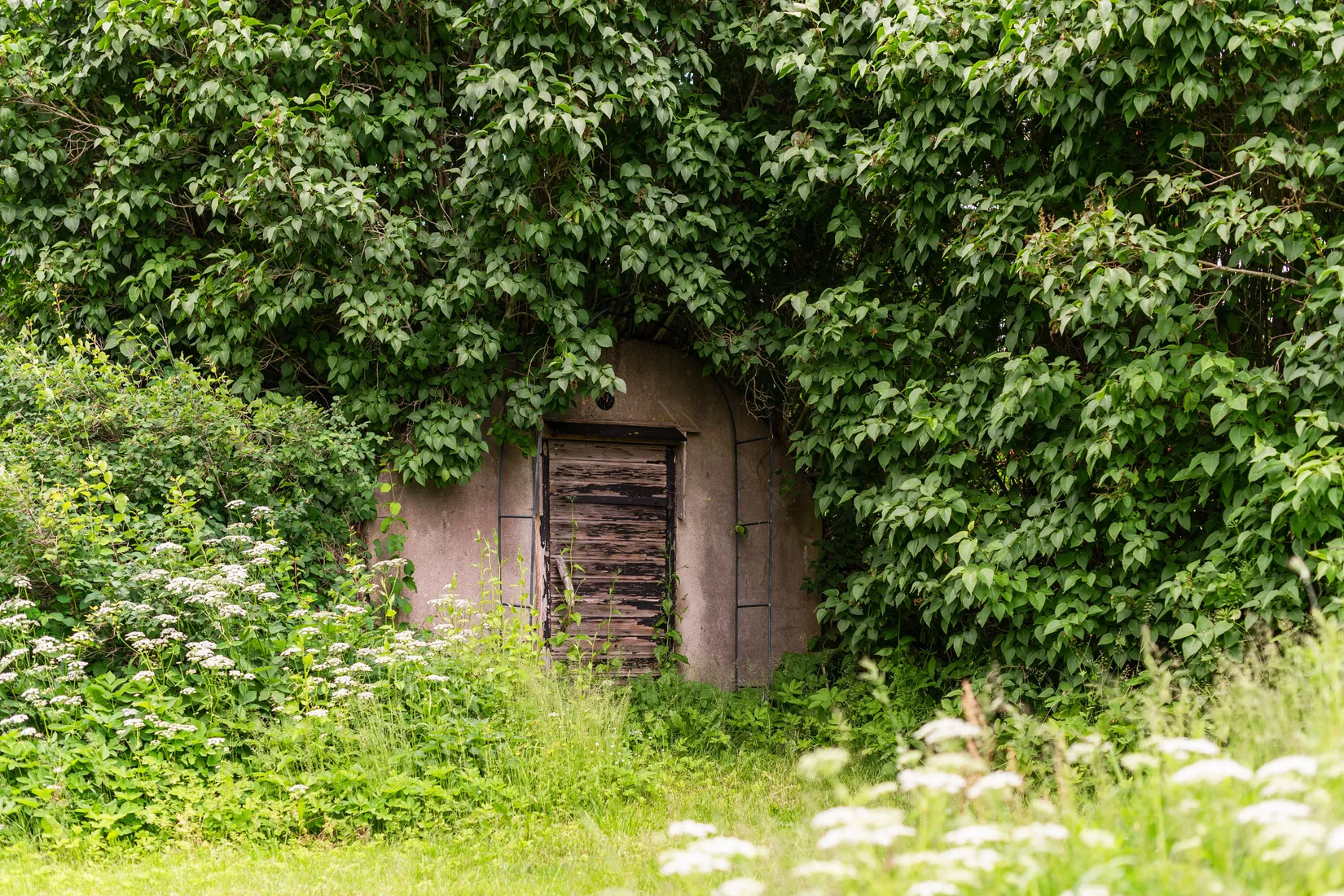 Gård/Skog, Sjögetorps gård 1, Ödeshög
