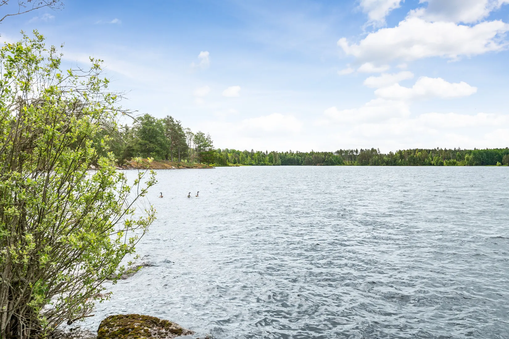 Gård/Skog, Sjögetorps gård 1, Ödeshög
