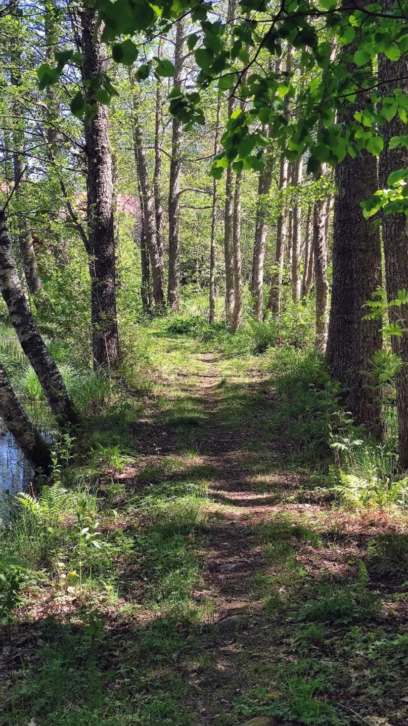 Gård/Skog, Sjögetorps gård 1, Ödeshög