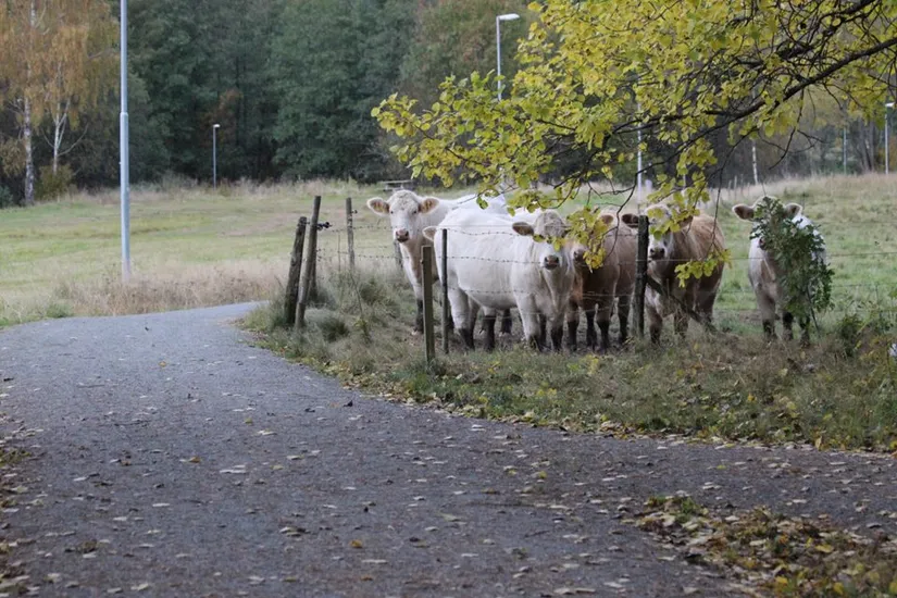 Radhus, Mejerivägen 4A, Härryda -Rävlanda, Härryda