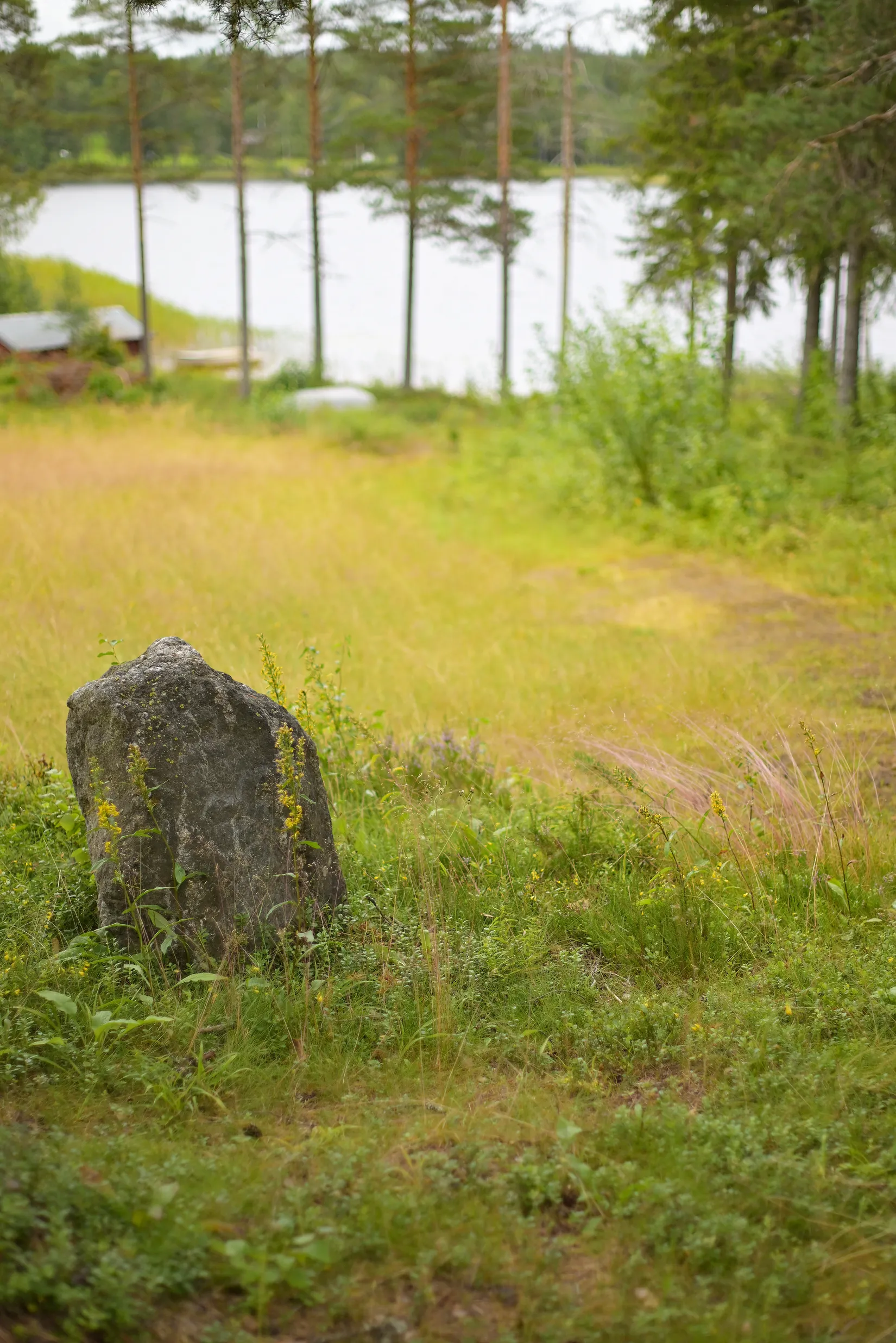Fritidshus, Sjöliden 31, Tavelsjö, Umeå