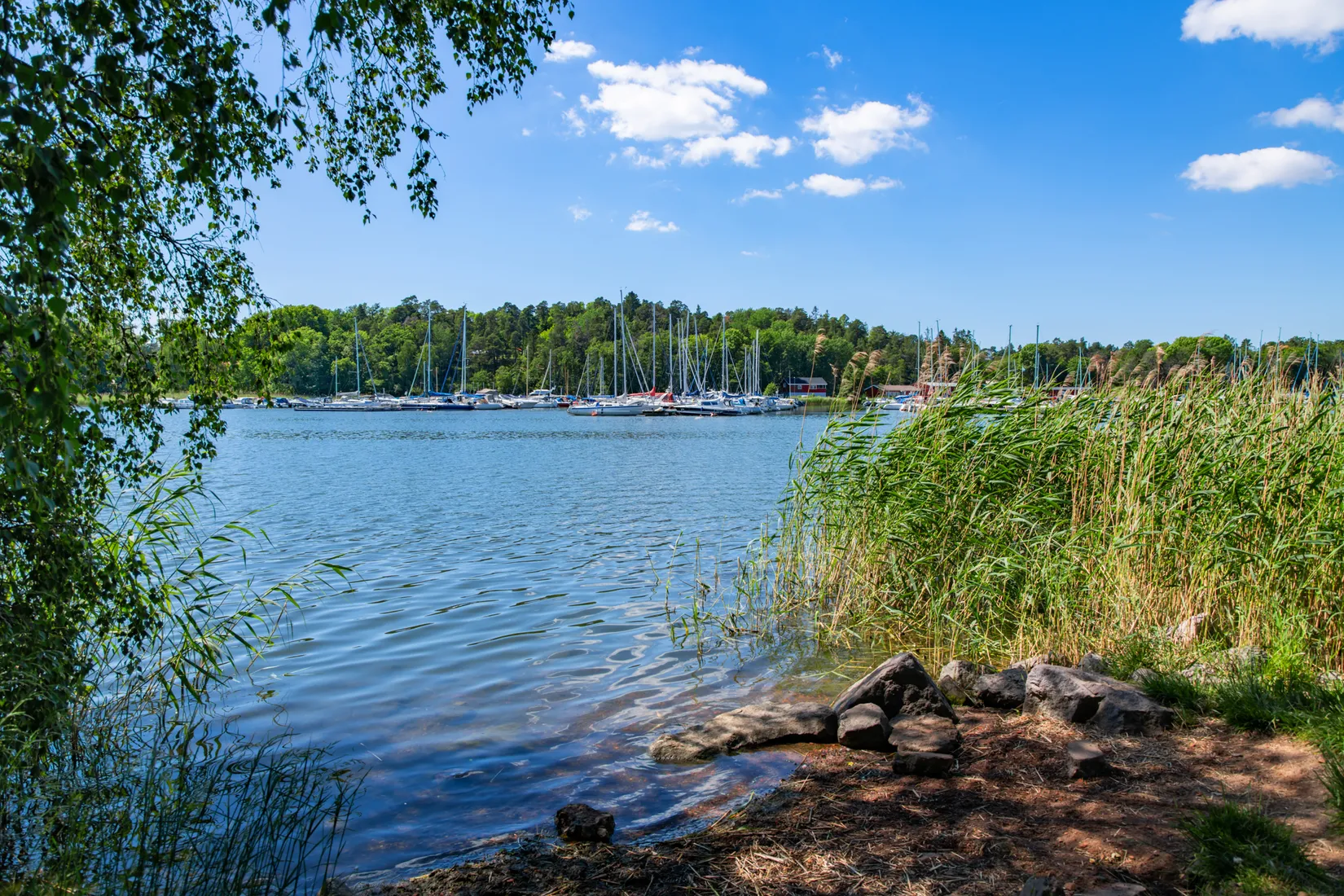 Bostadsrätt, Källtorpsvägen 11, Näsbypark, Täby