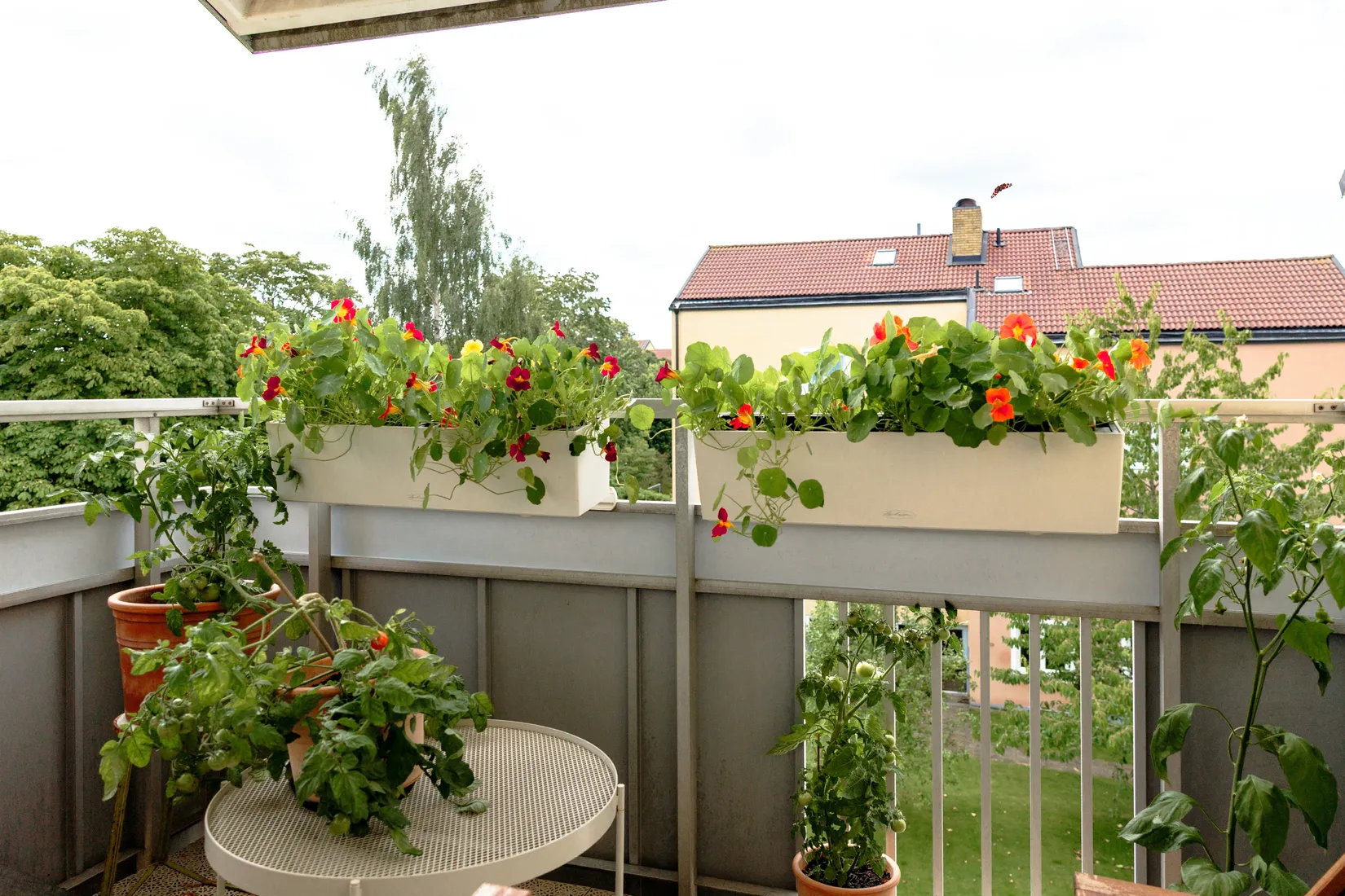 Bostadsrätt, Pär Lagerkvists väg 20, Gamla Norr, Växjö