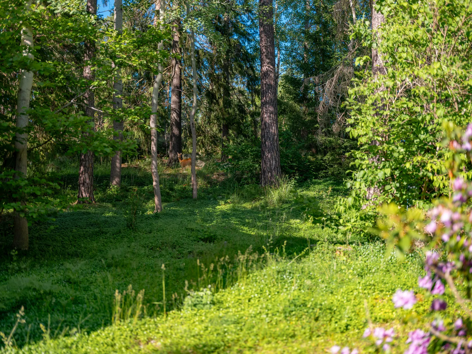 Villa, Österängsvägen 12, Enebyberg, Danderyd