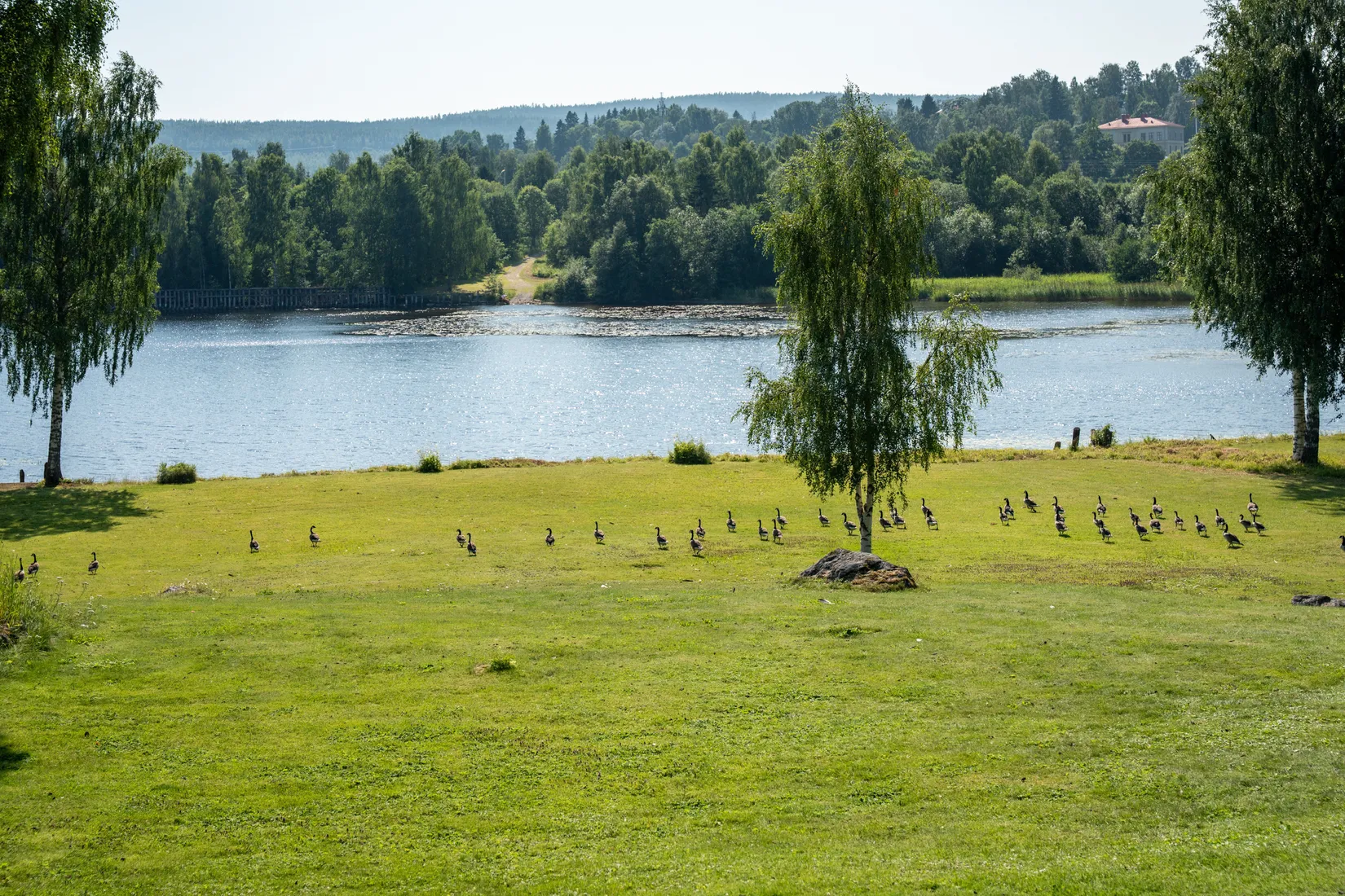 Villa, Holmnäsvägen 15, Kramfors
