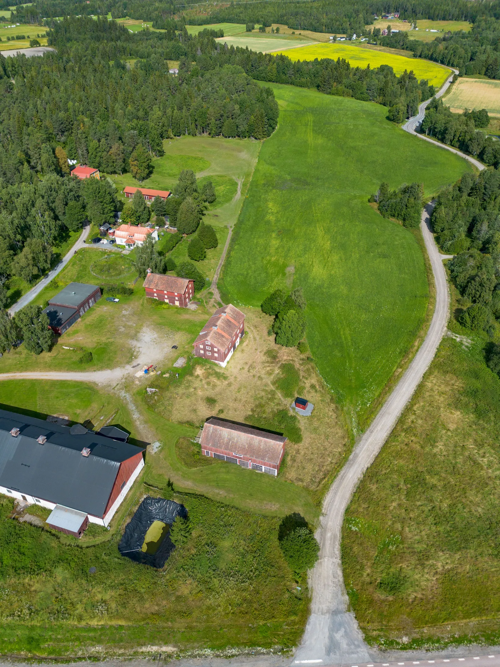 Gård/Skog, Offer 503, Sollefteå