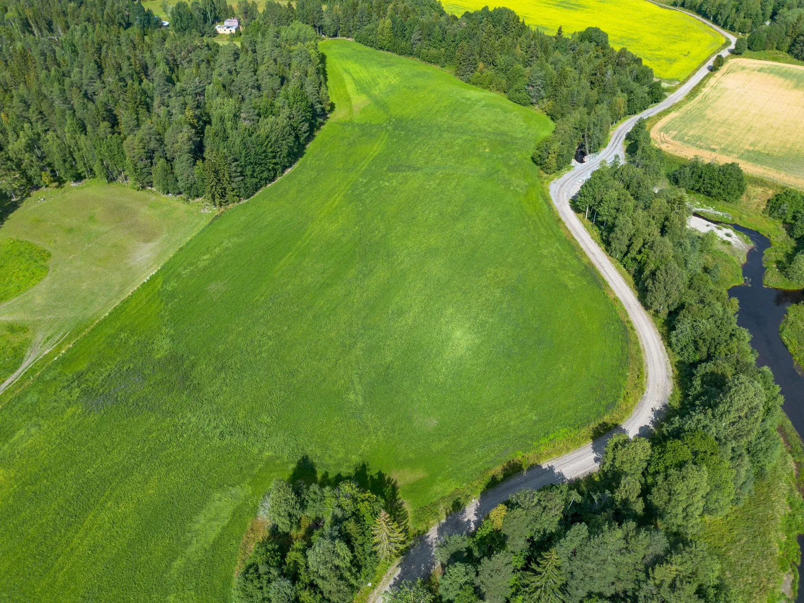 Gård/Skog, Offer 503, Sollefteå