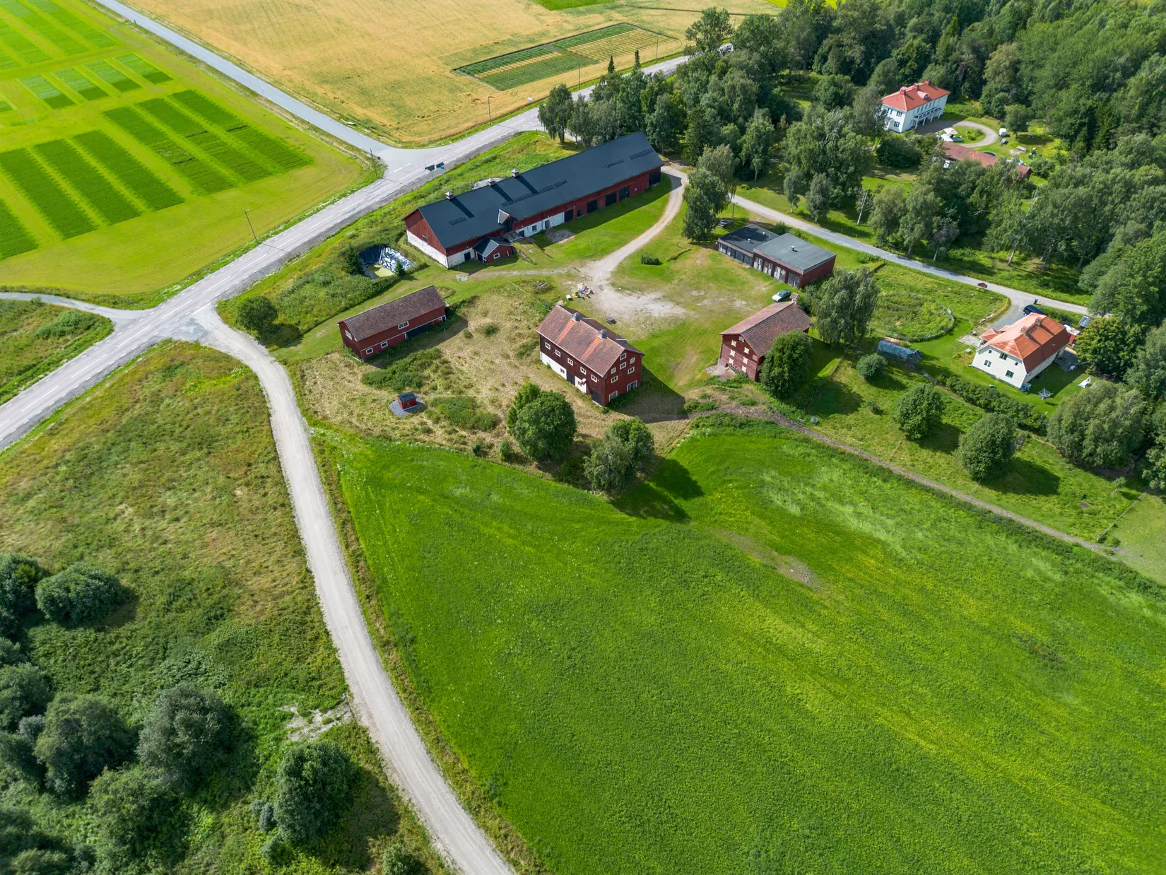 Gård/Skog, Offer 503, Sollefteå