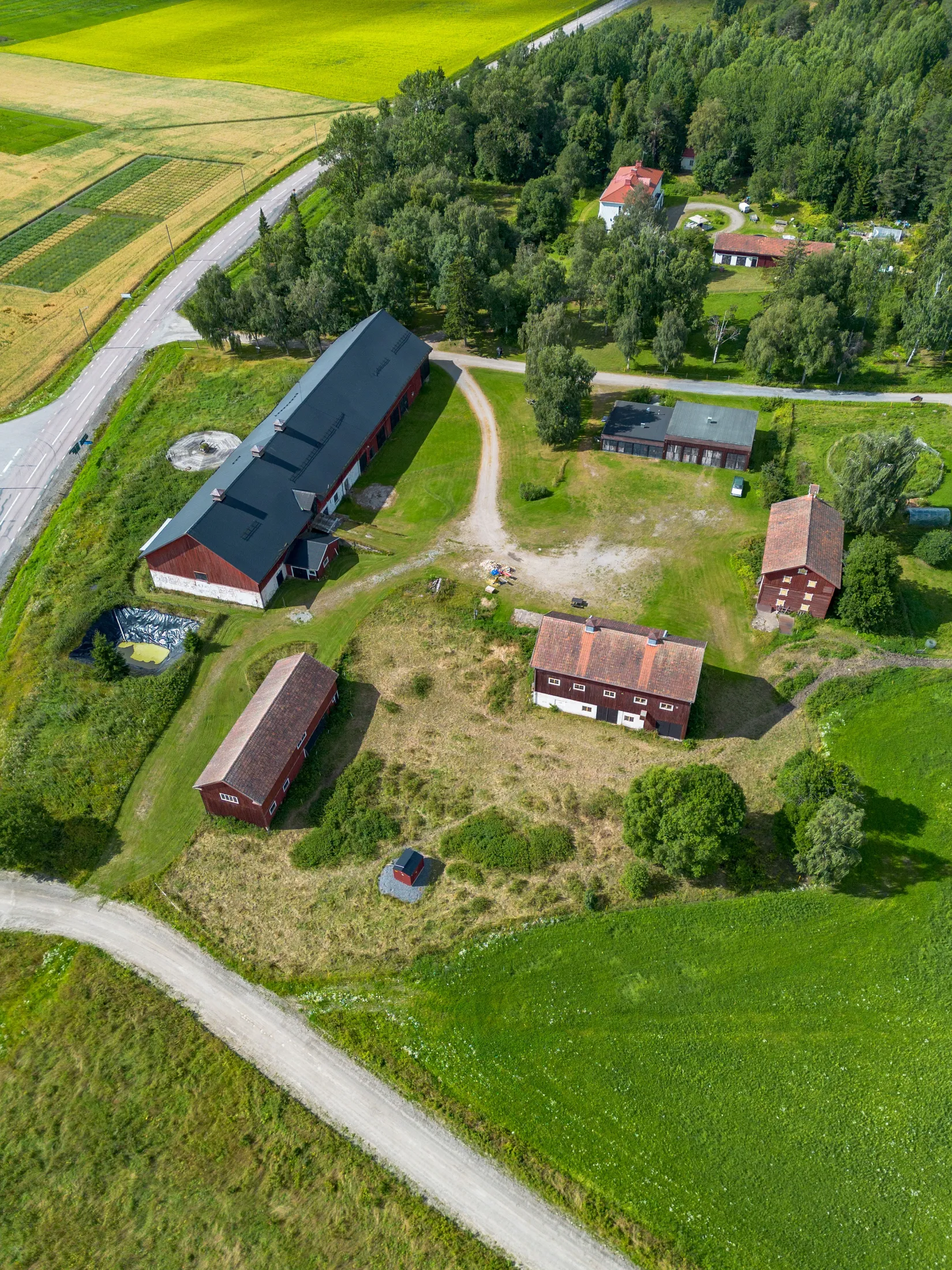 Gård/Skog, Offer 503, Sollefteå