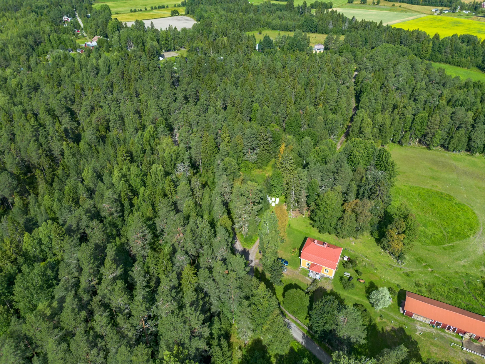 Gård/Skog, Offer 503, Sollefteå