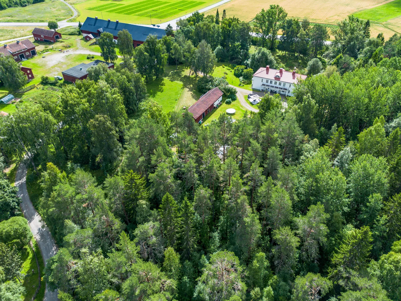 Gård/Skog, Offer 503, Sollefteå