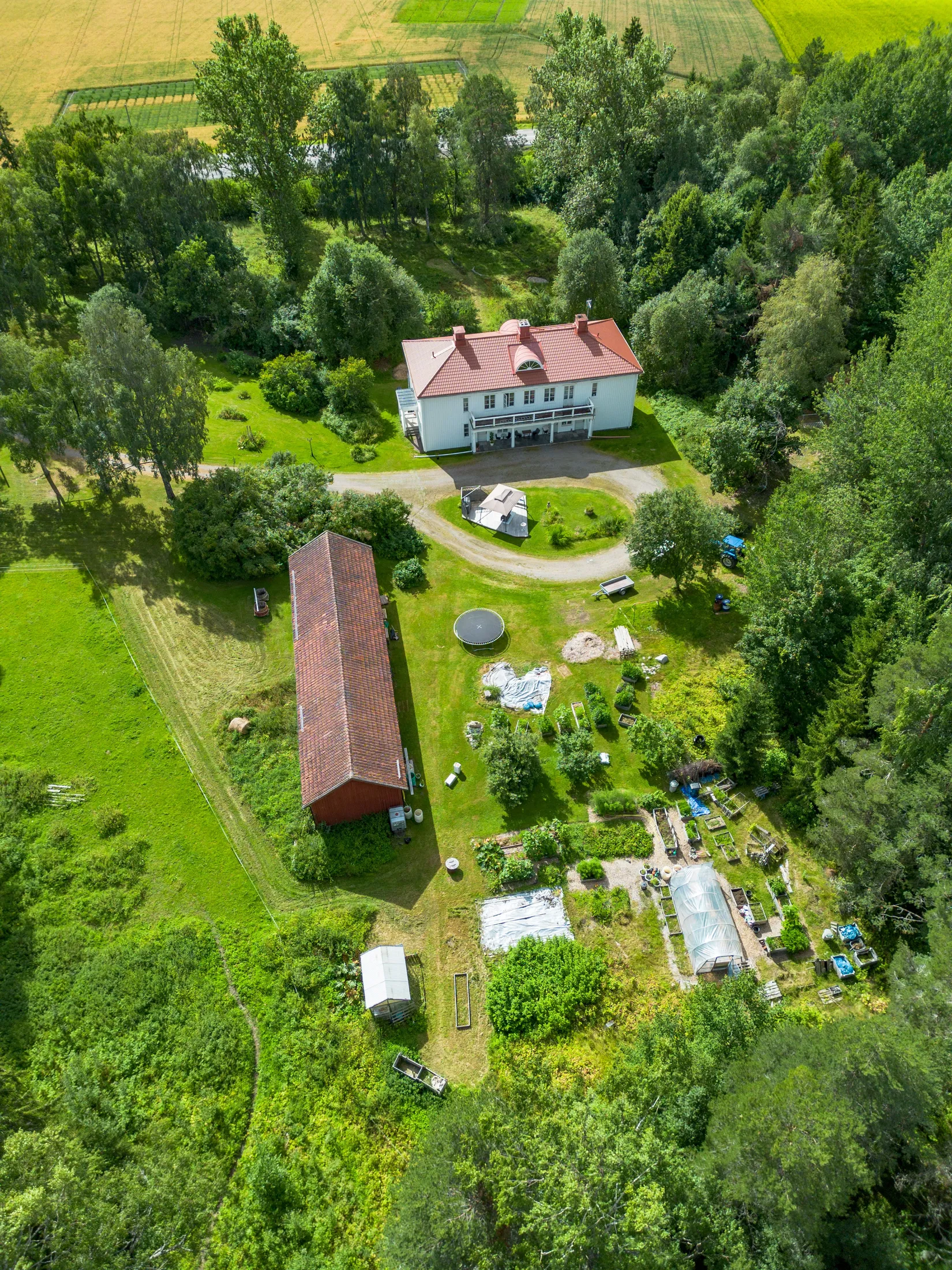 Gård/Skog, Offer 503, Sollefteå