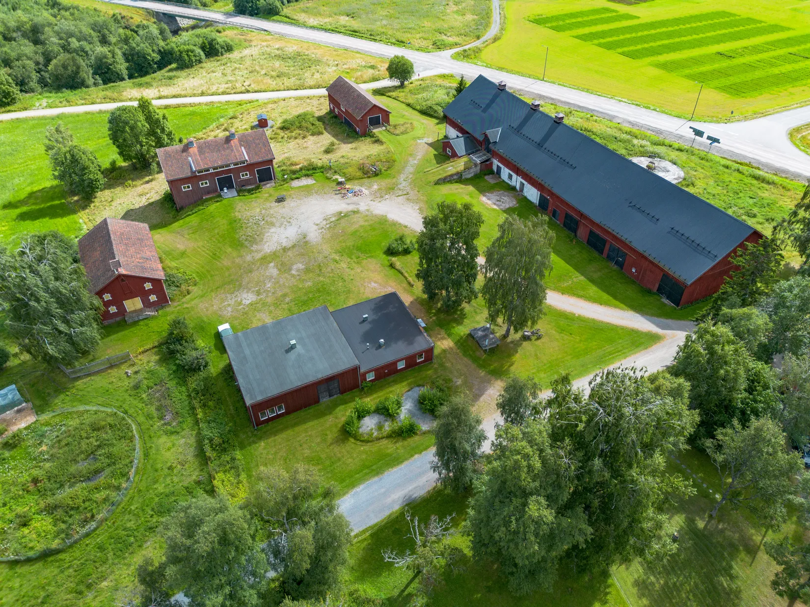 Gård/Skog, Offer 503, Sollefteå