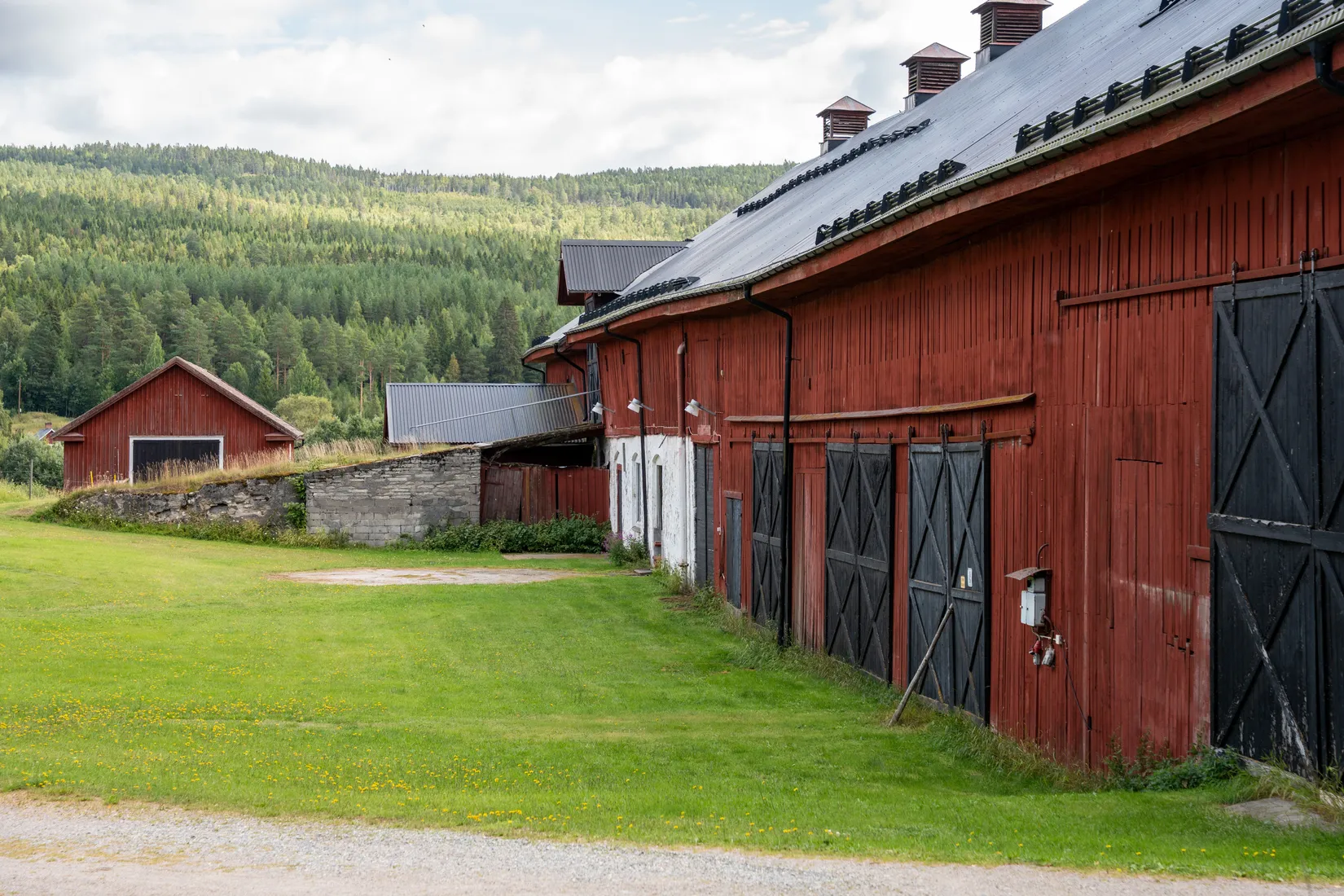 Gård/Skog, Offer 503, Sollefteå