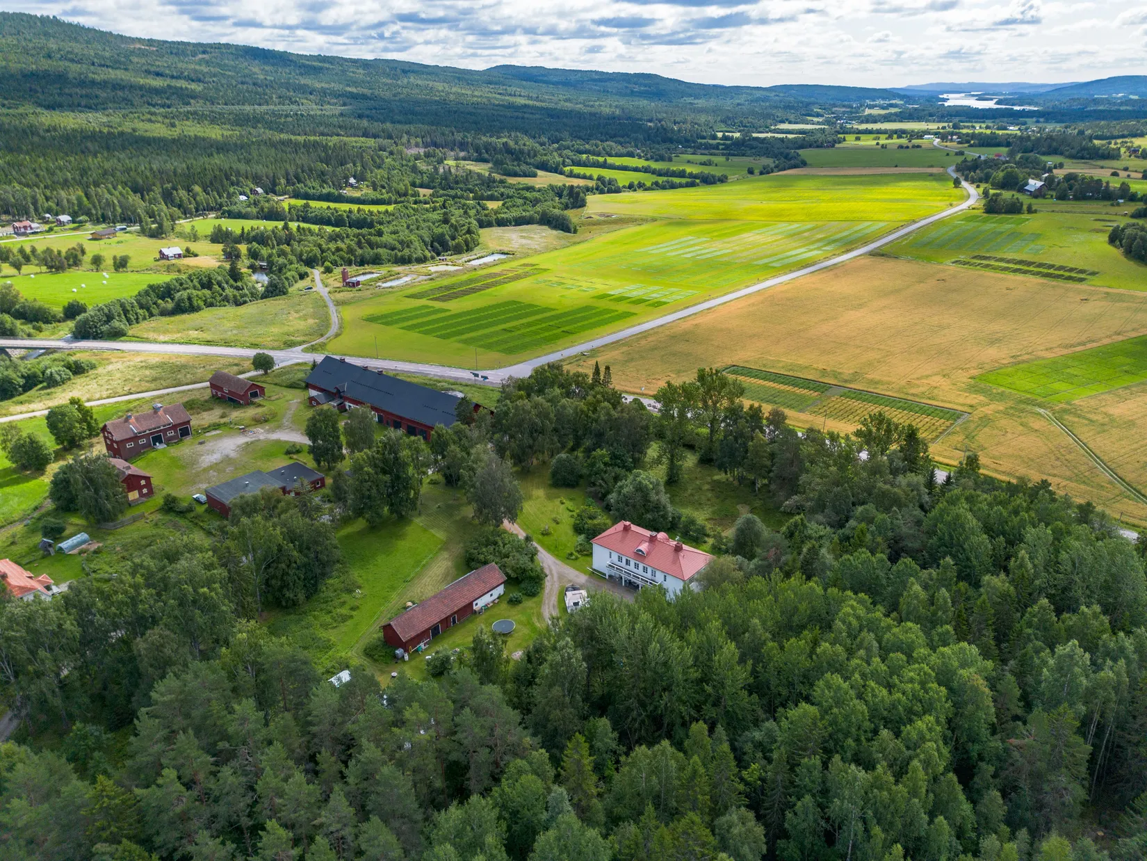 Gård/Skog, Offer 503, Sollefteå
