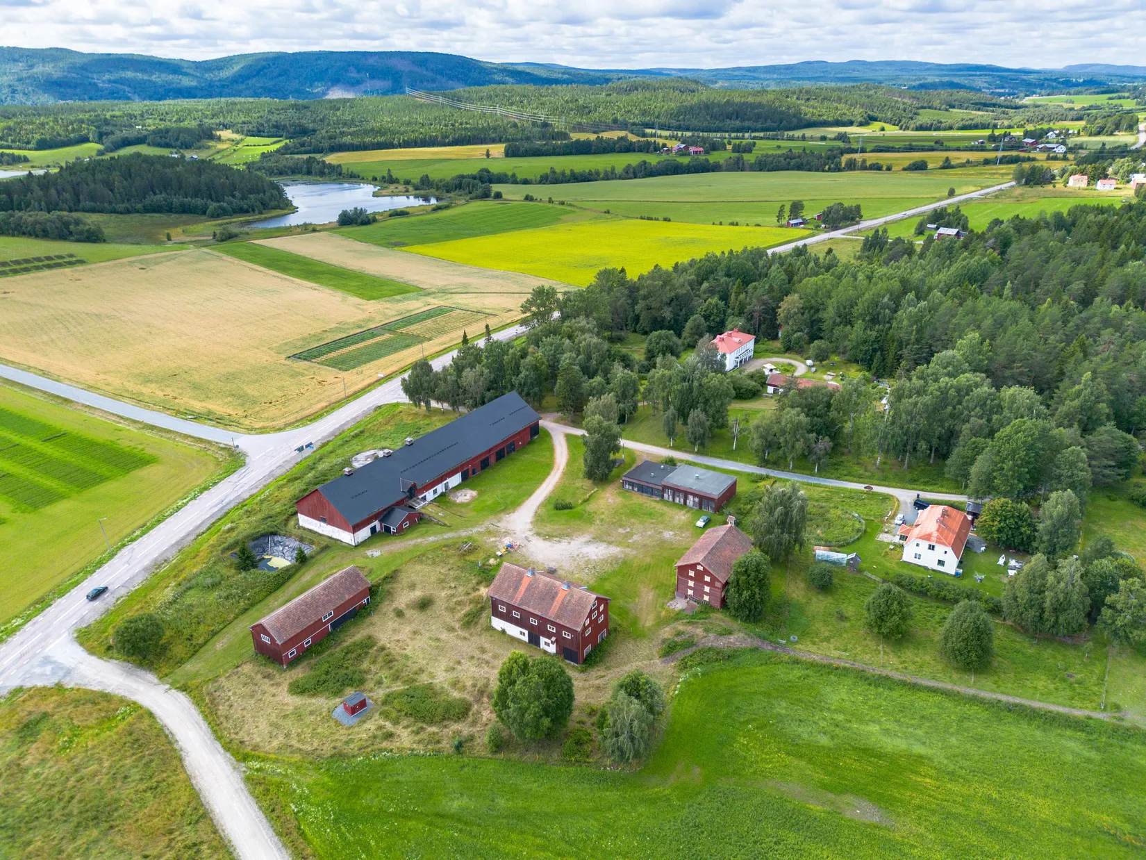 Gård/Skog, Offer 503, Sollefteå