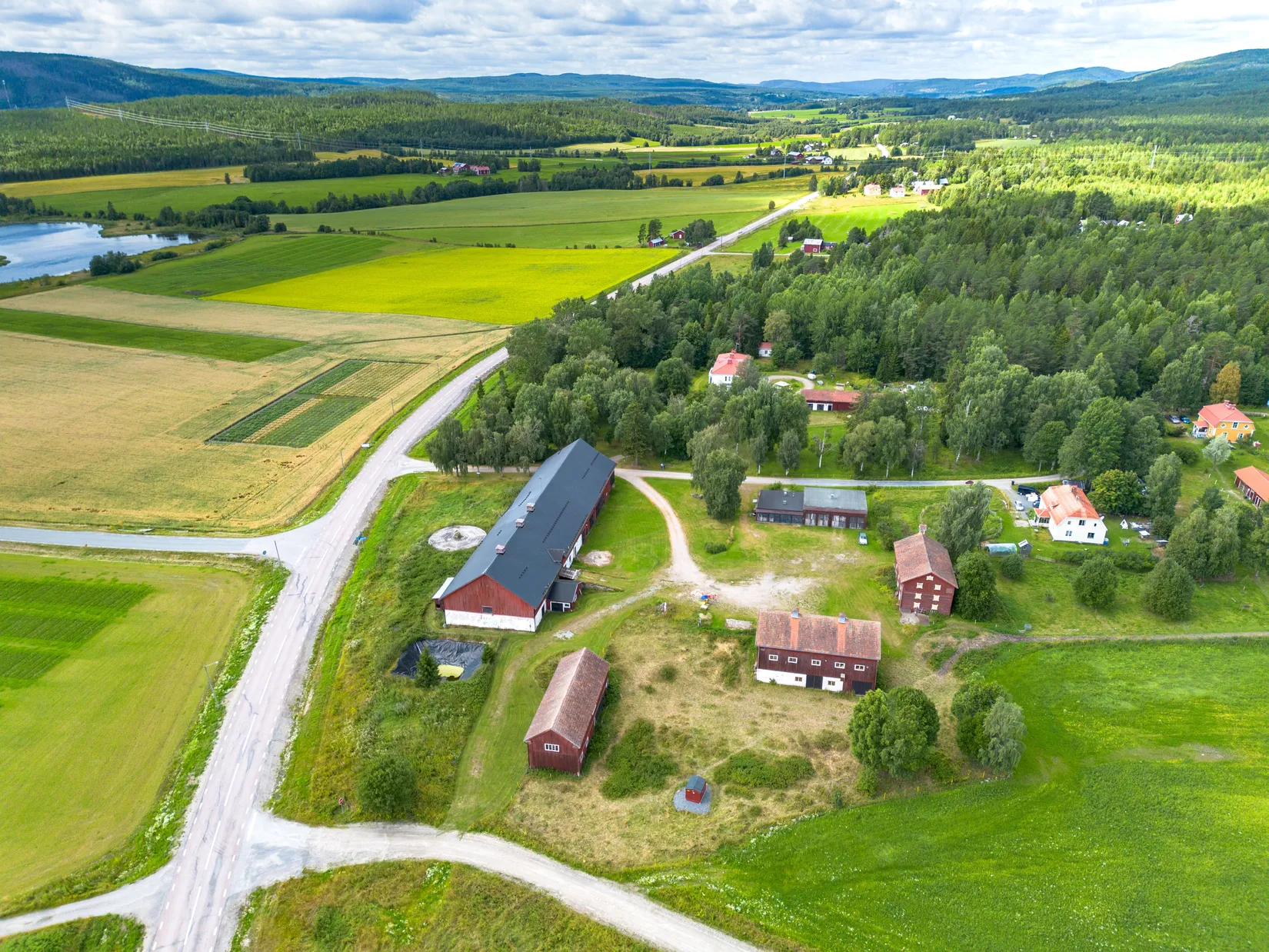 Gård/Skog, Offer 503, Sollefteå