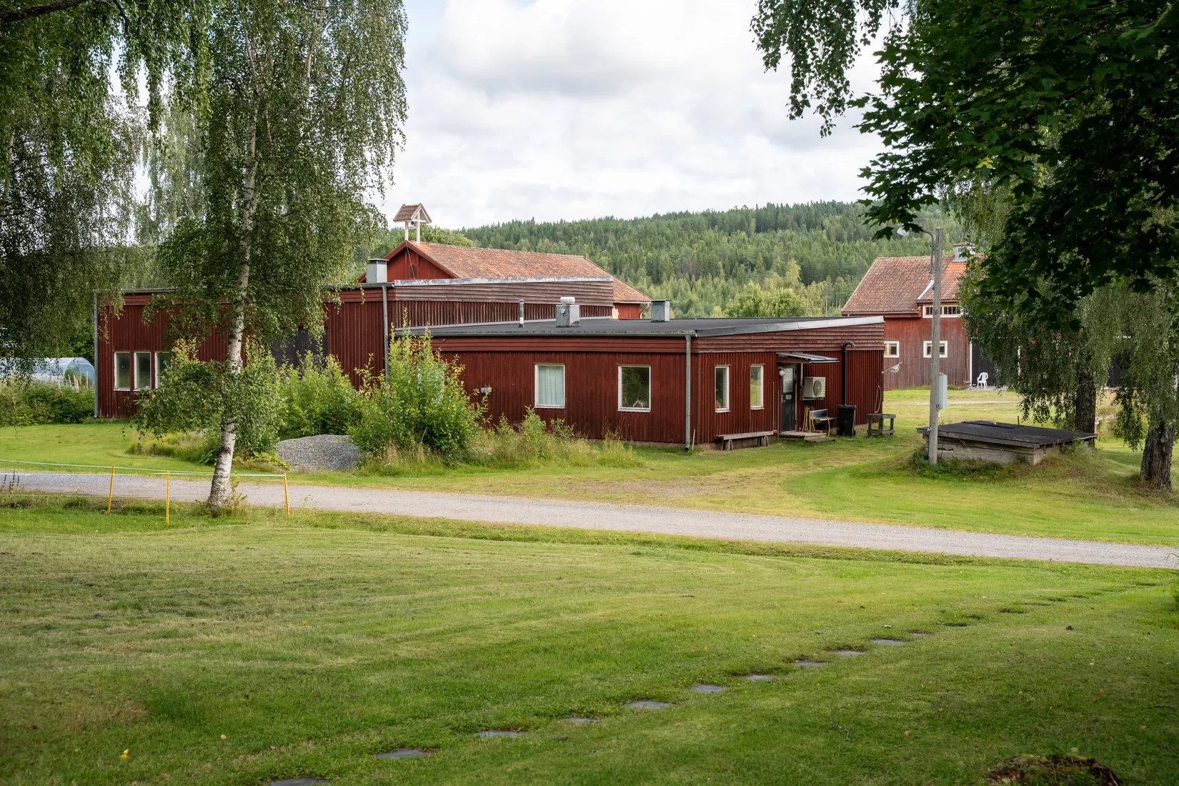 Gård/Skog, Offer 503, Sollefteå