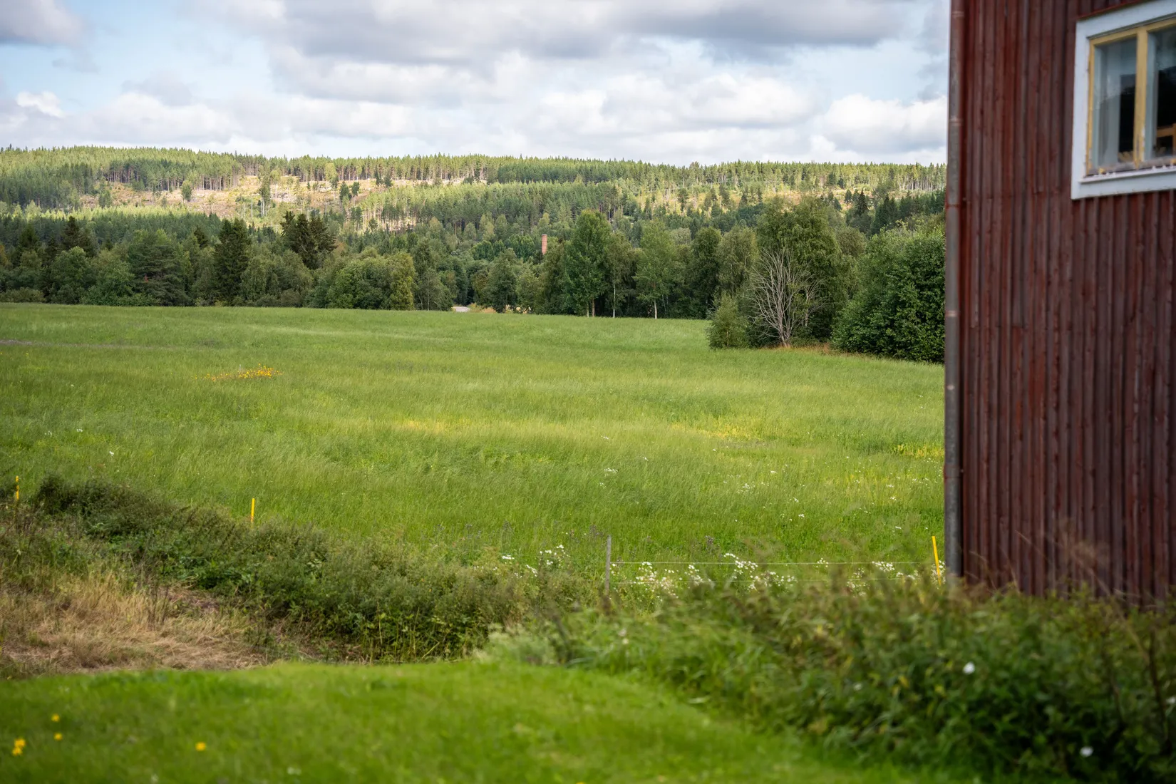 Gård/Skog, Offer 503, Sollefteå