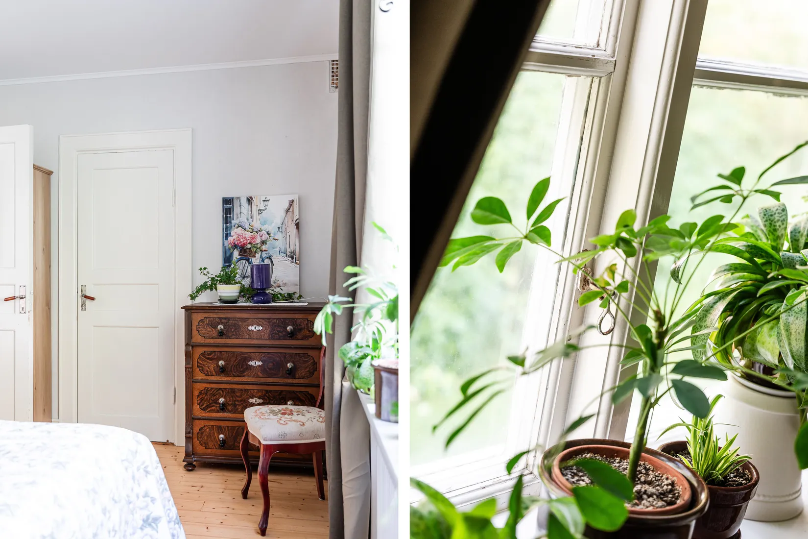 Gård/Skog, Offer 503, Sollefteå