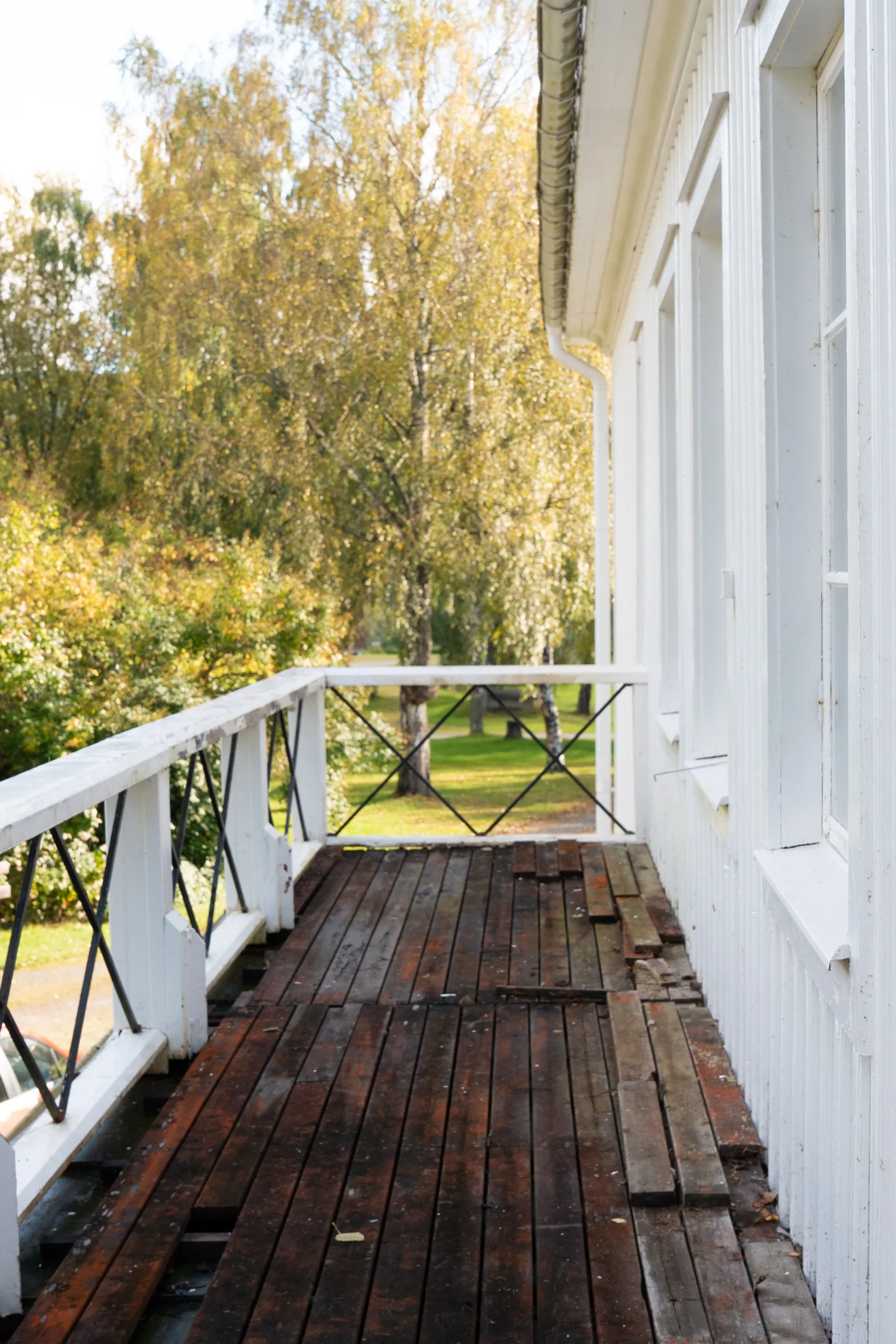 Gård/Skog, Offer 503, Sollefteå