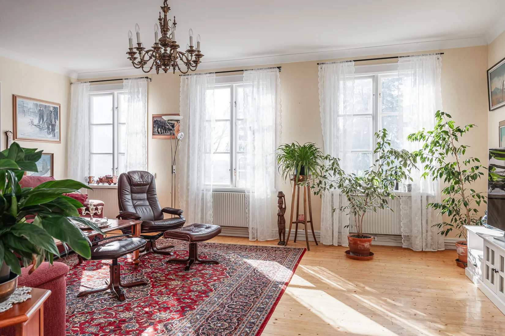 Gård/Skog, Offer 503, Sollefteå