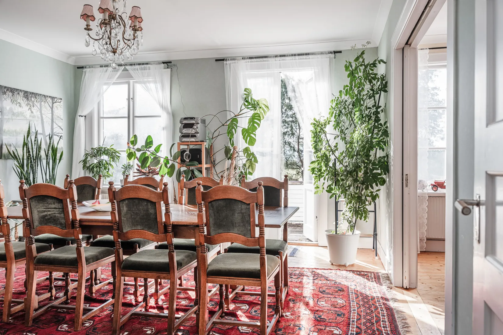 Gård/Skog, Offer 503, Sollefteå