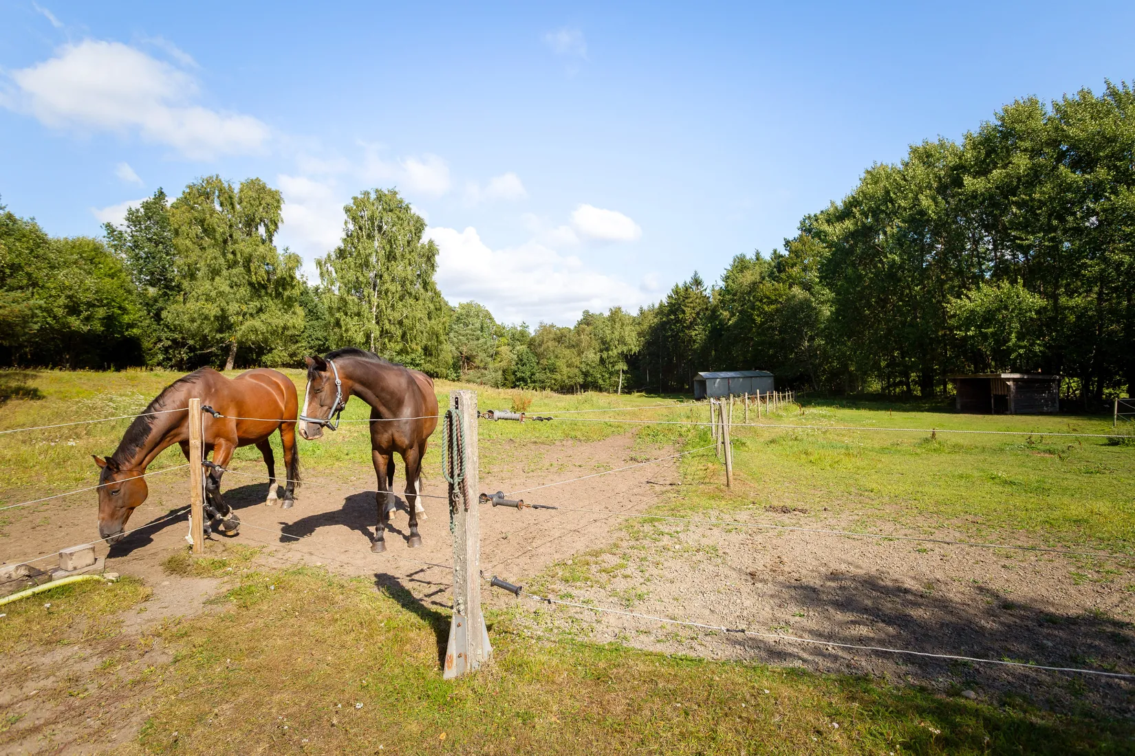 Gård/Skog, Kollebäcksvägen 521, Kollebäckstorp, Ängelholm