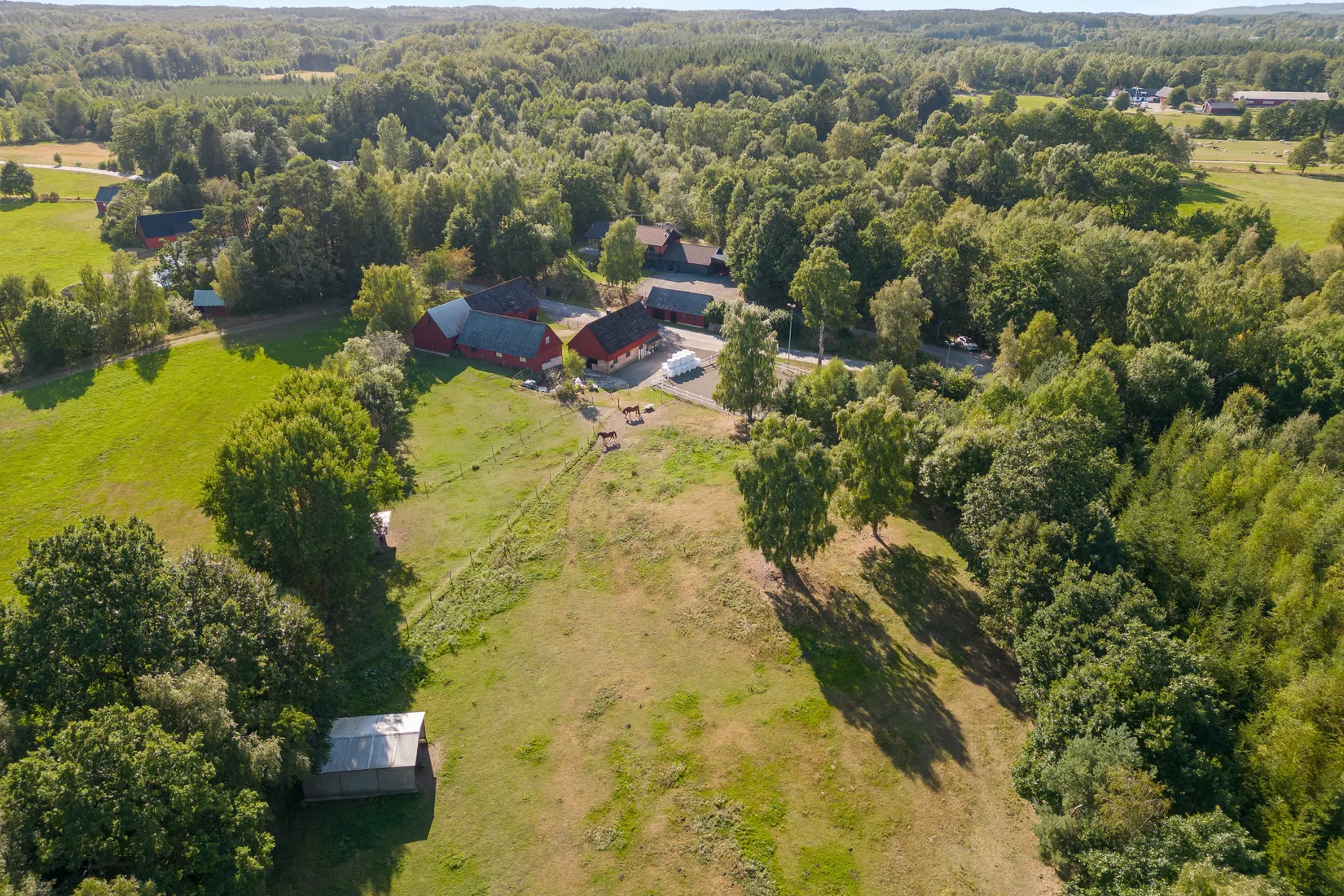 Gård/Skog, Kollebäcksvägen 521, Kollebäckstorp, Ängelholm