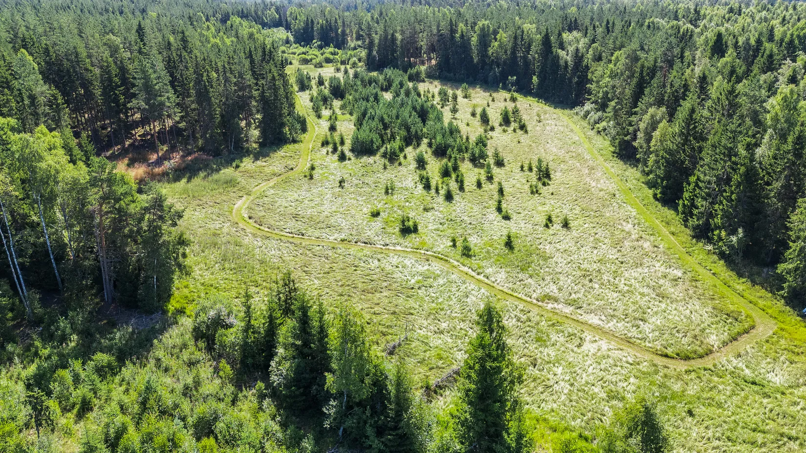 Tomt, Holmskog, Uppsala