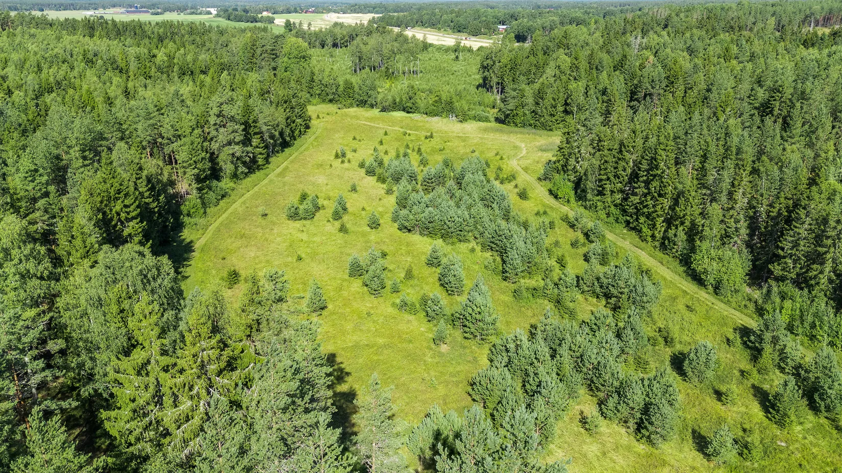 Tomt, Holmskog, Uppsala